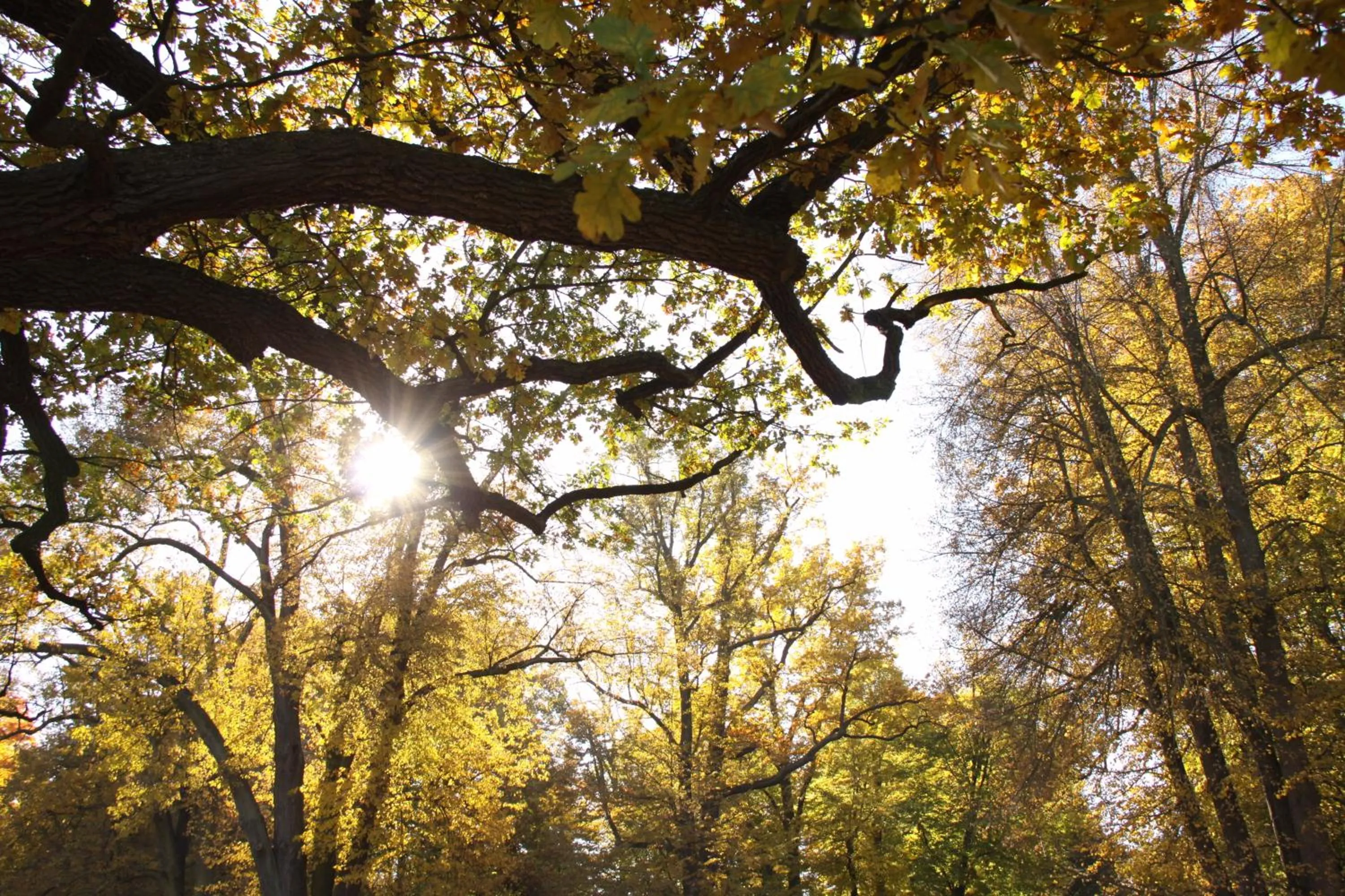 Day in Kulturhotel Fürst Pückler Park