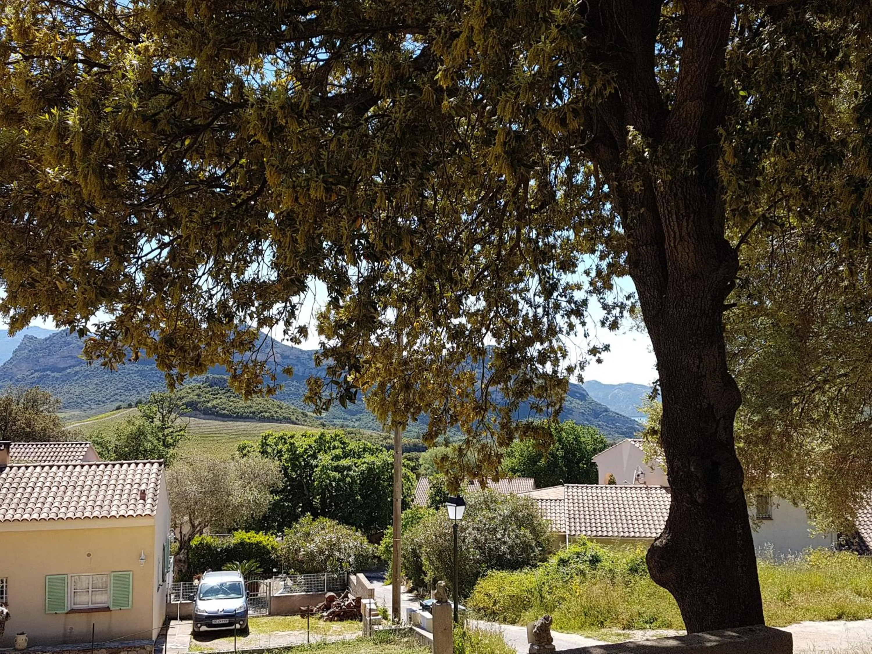 Balcony/Terrace in A CASA DI L'ALIVU