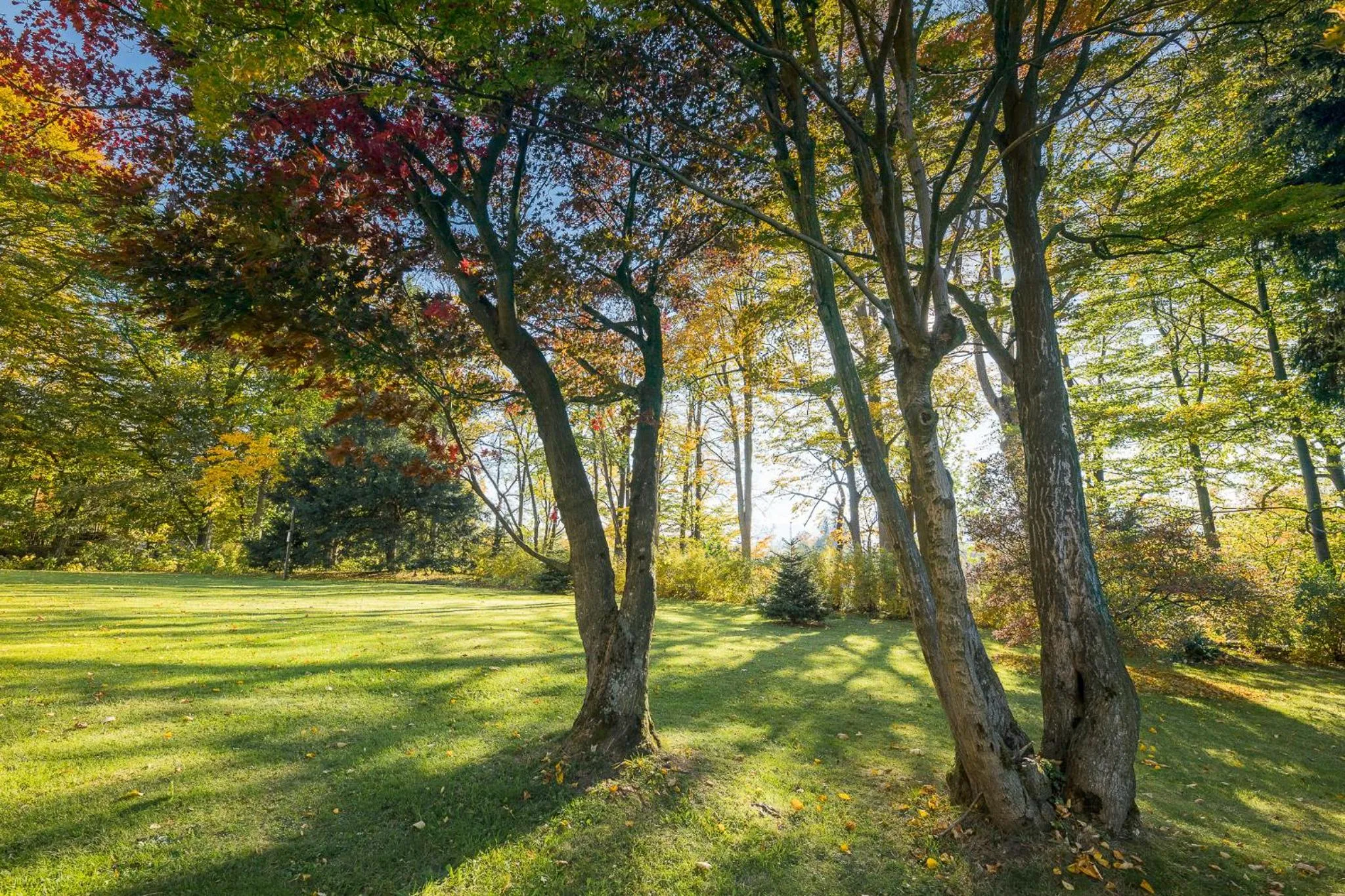 Spring in Wellness & Spa hotel Villa Regenhart