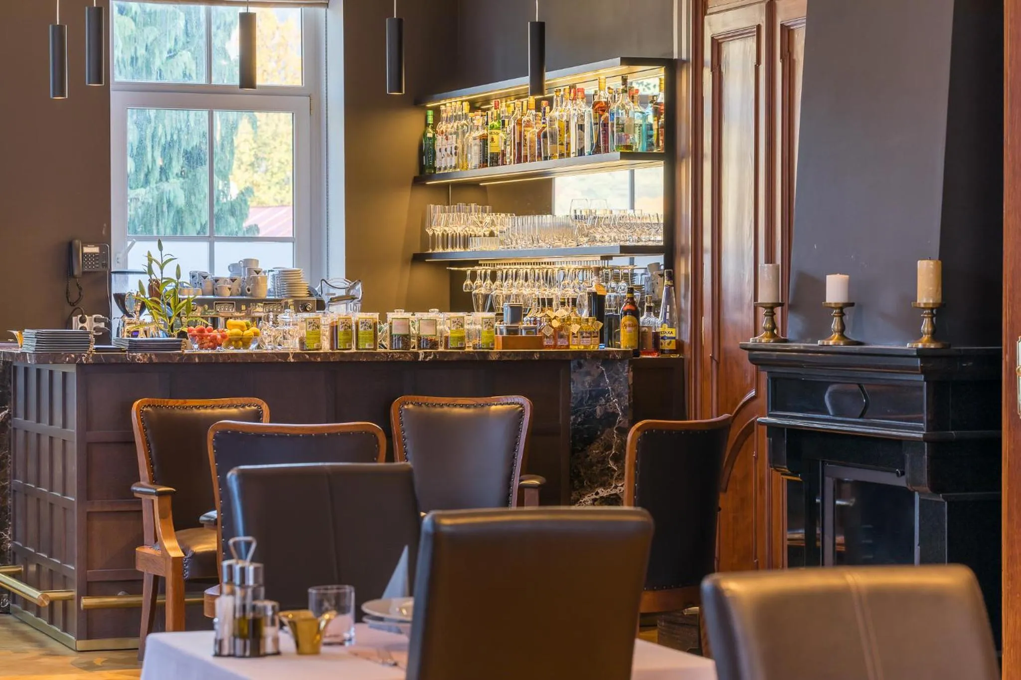 Restaurant/places to eat in Wellness & Spa hotel Villa Regenhart