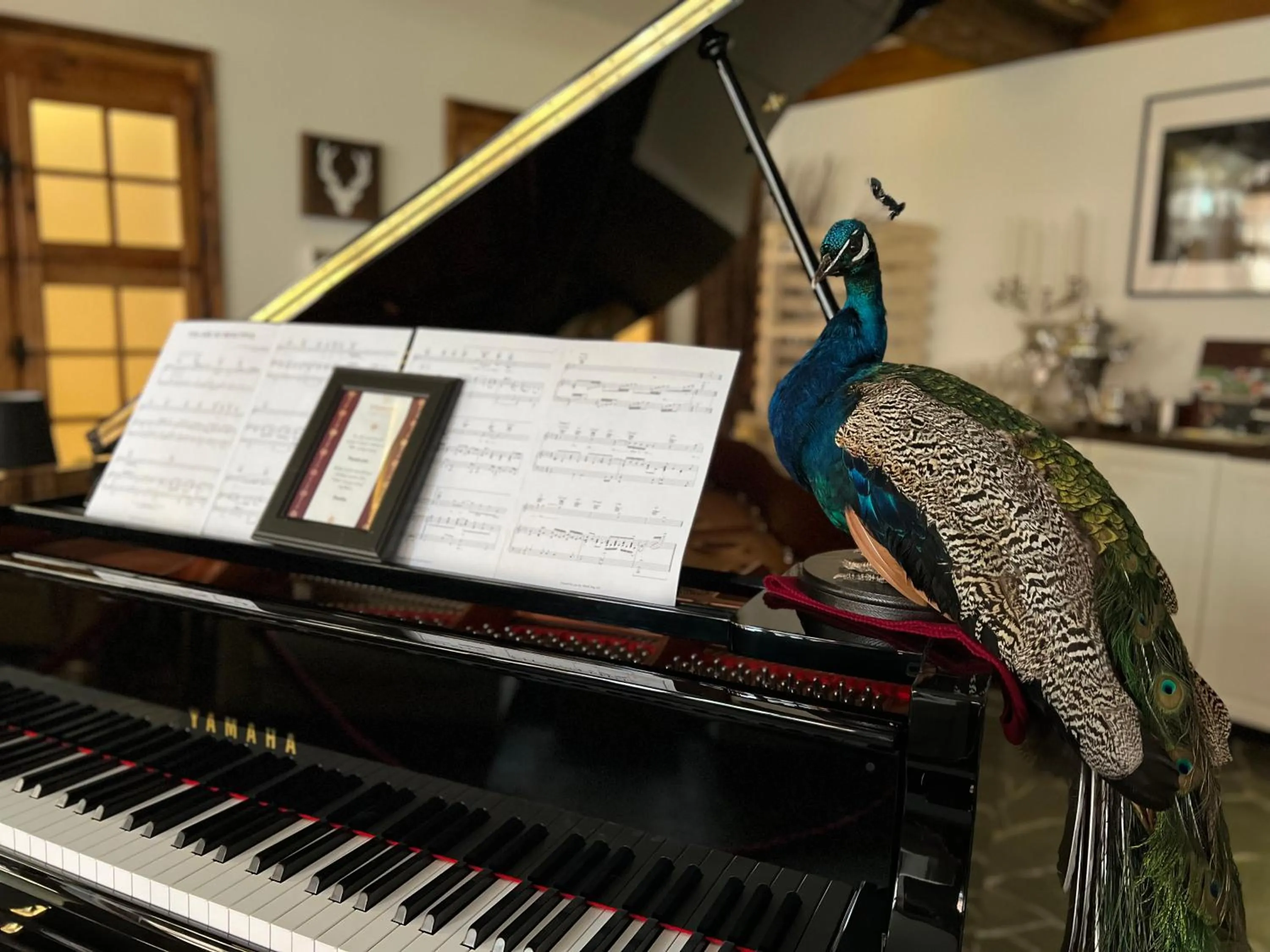 Lounge or bar in SPANNORT family home with common kitchen and self check-in