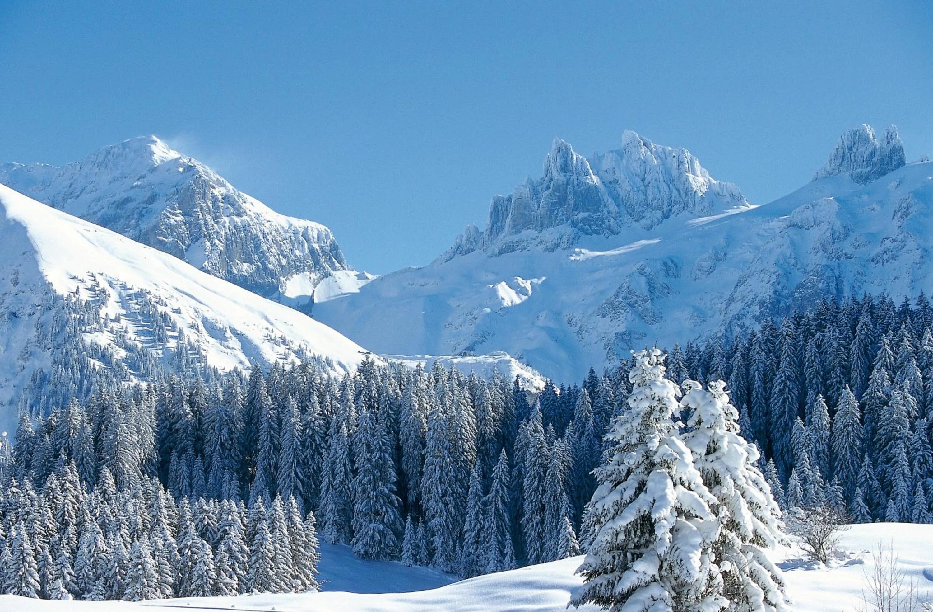 Skiing in SPANNORT family home with common kitchen and self check-in