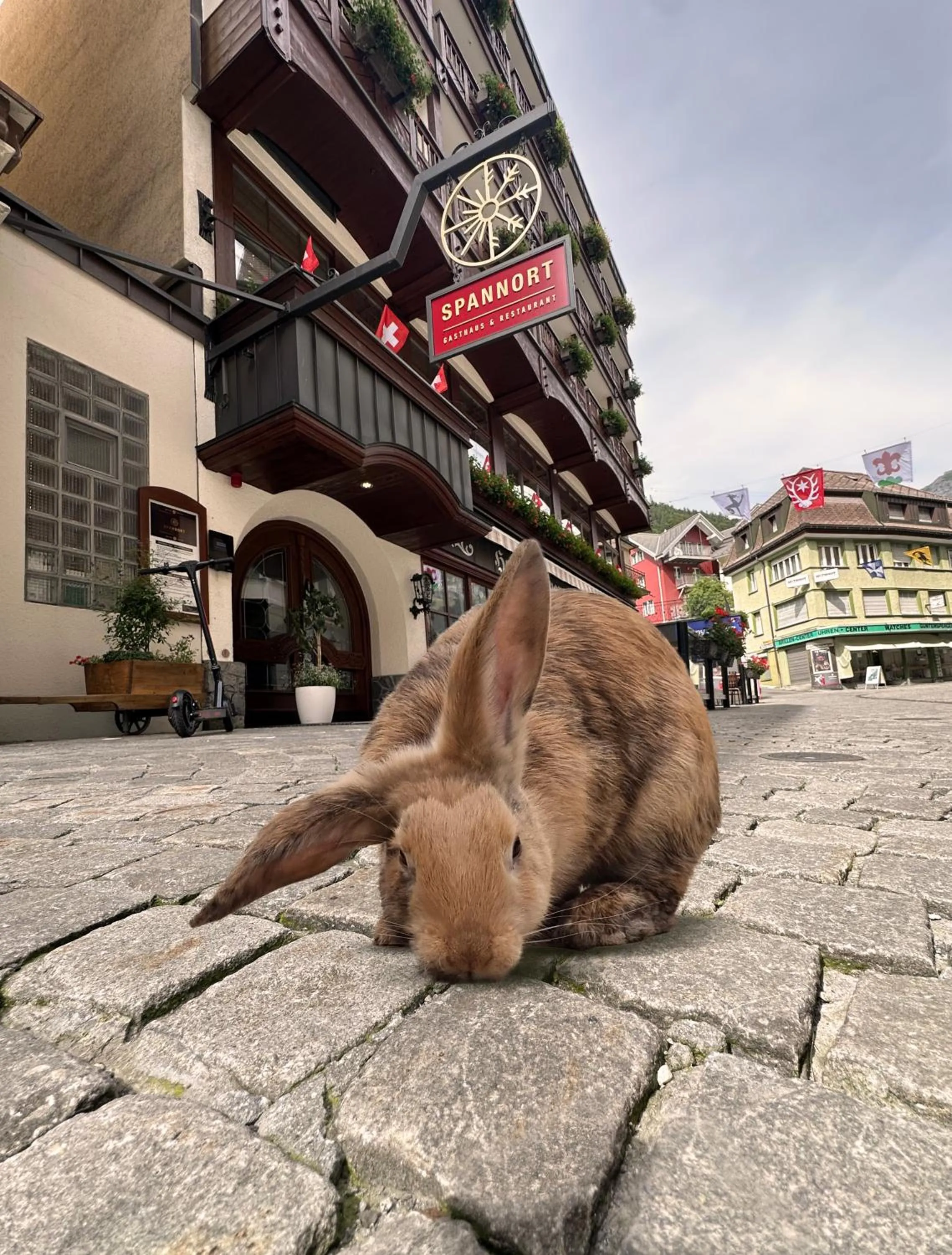 Property building in SPANNORT family home with common kitchen and self check-in