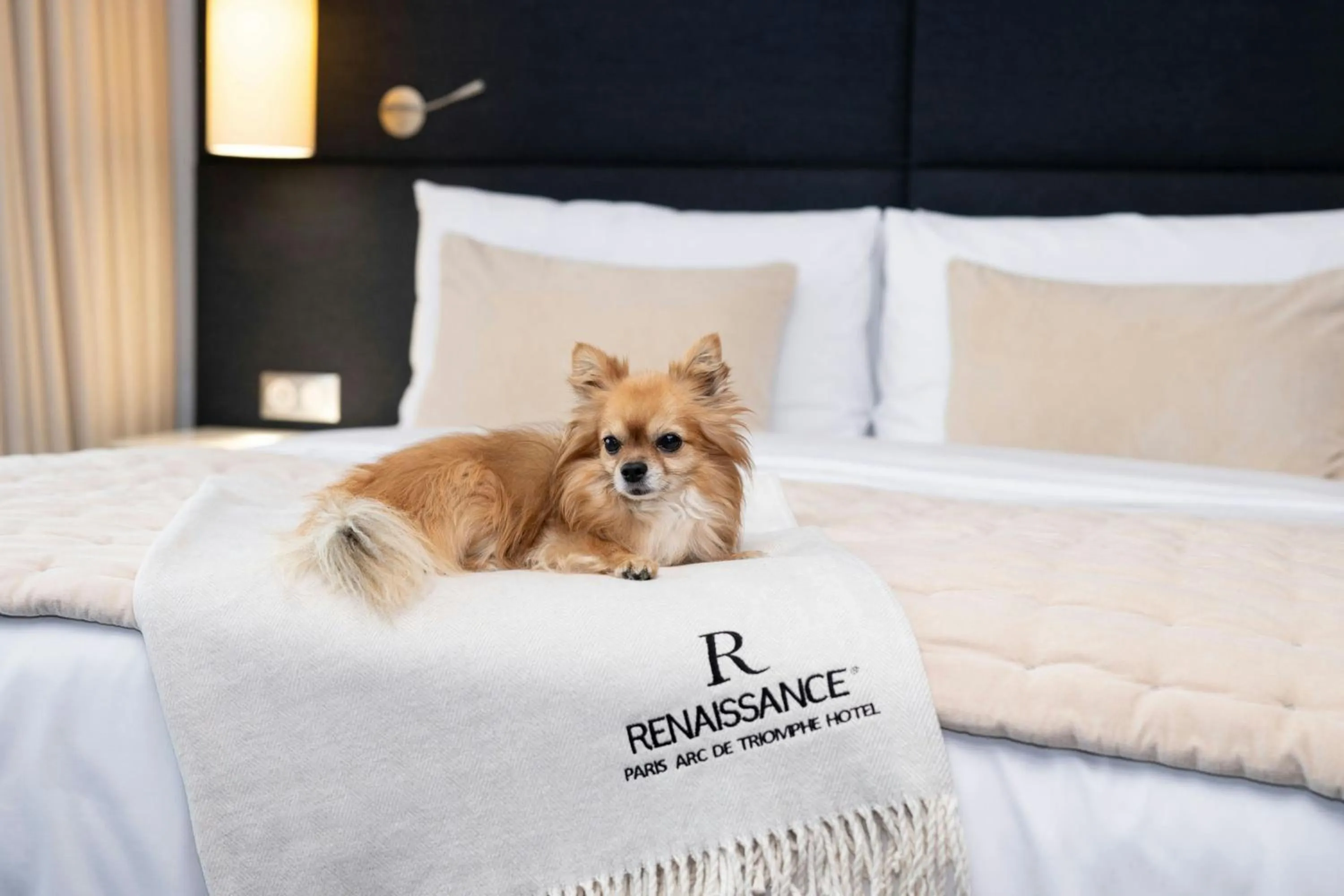 Photo of the whole room, Bed in Renaissance Paris Arc de Triomphe Hotel
