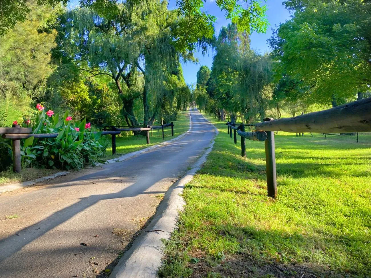 Garden in Pine Valley
