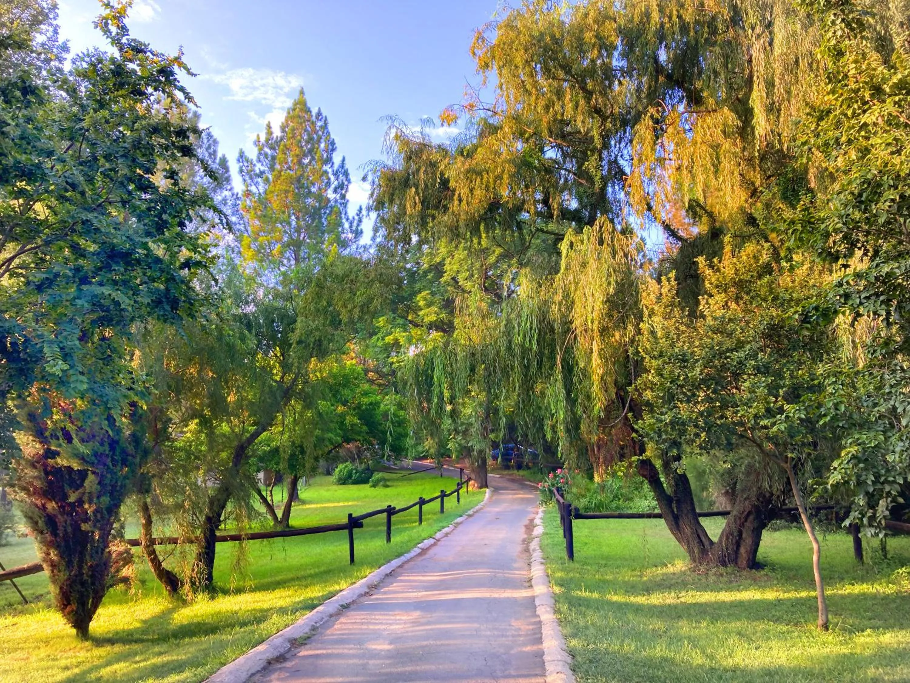 Garden in Pine Valley