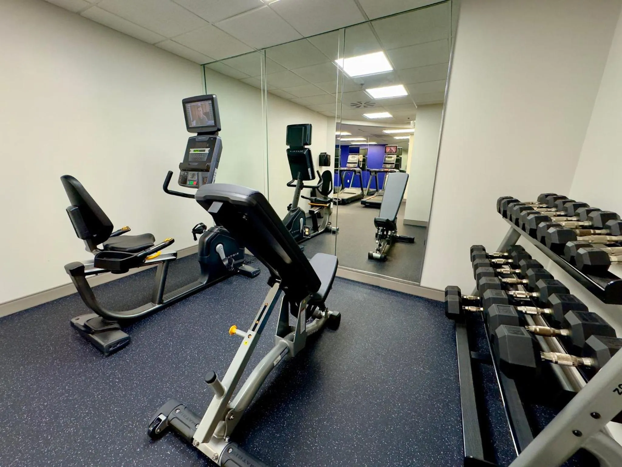 Fitness centre/facilities in Holiday Inn Express Hotel & Suites Tampa-Oldsmar by IHG
