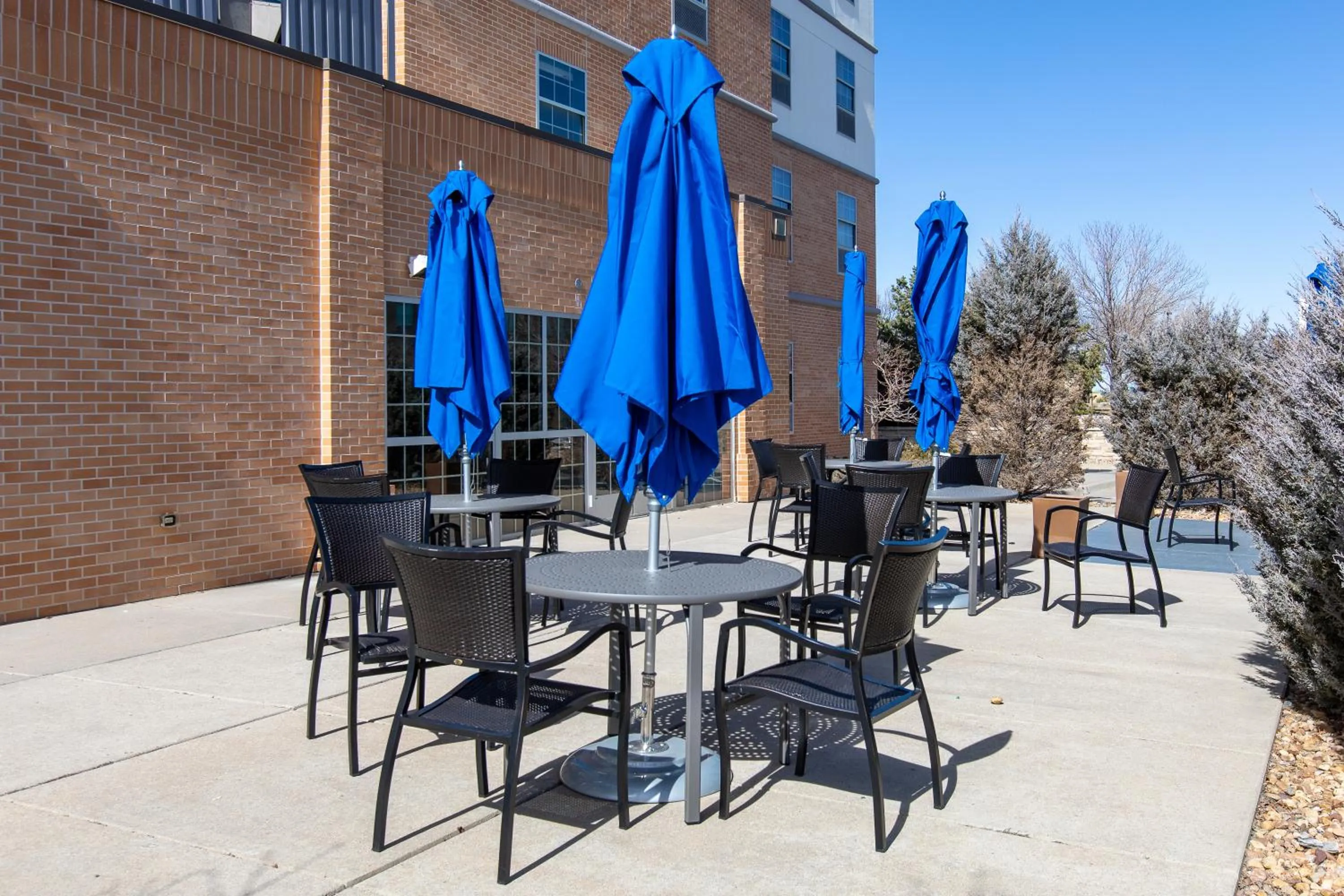 Lounge or bar in Holiday Inn Express & Suites Englewood - Denver South by IHG