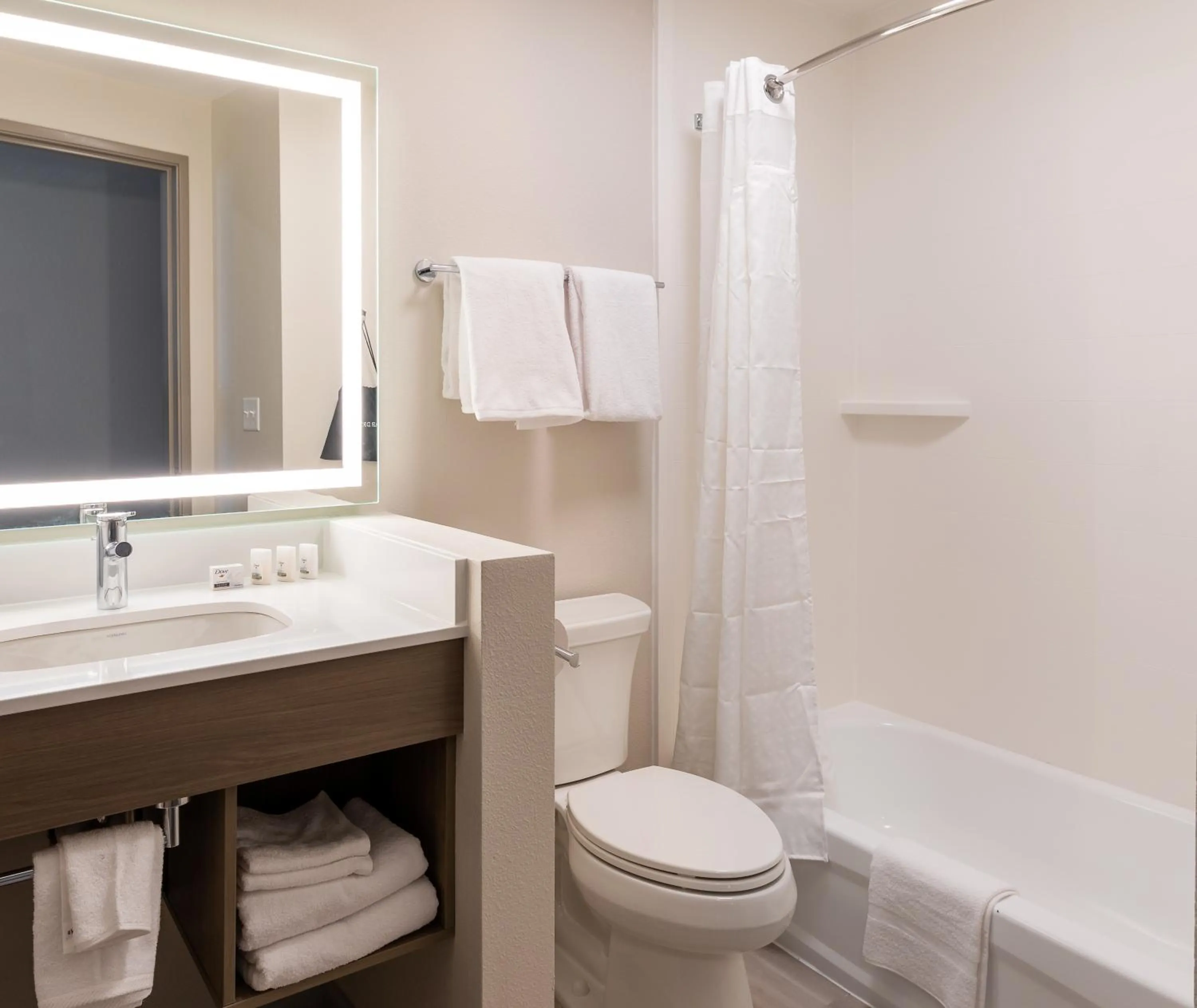 Bath in Holiday Inn Express & Suites Englewood - Denver South by IHG