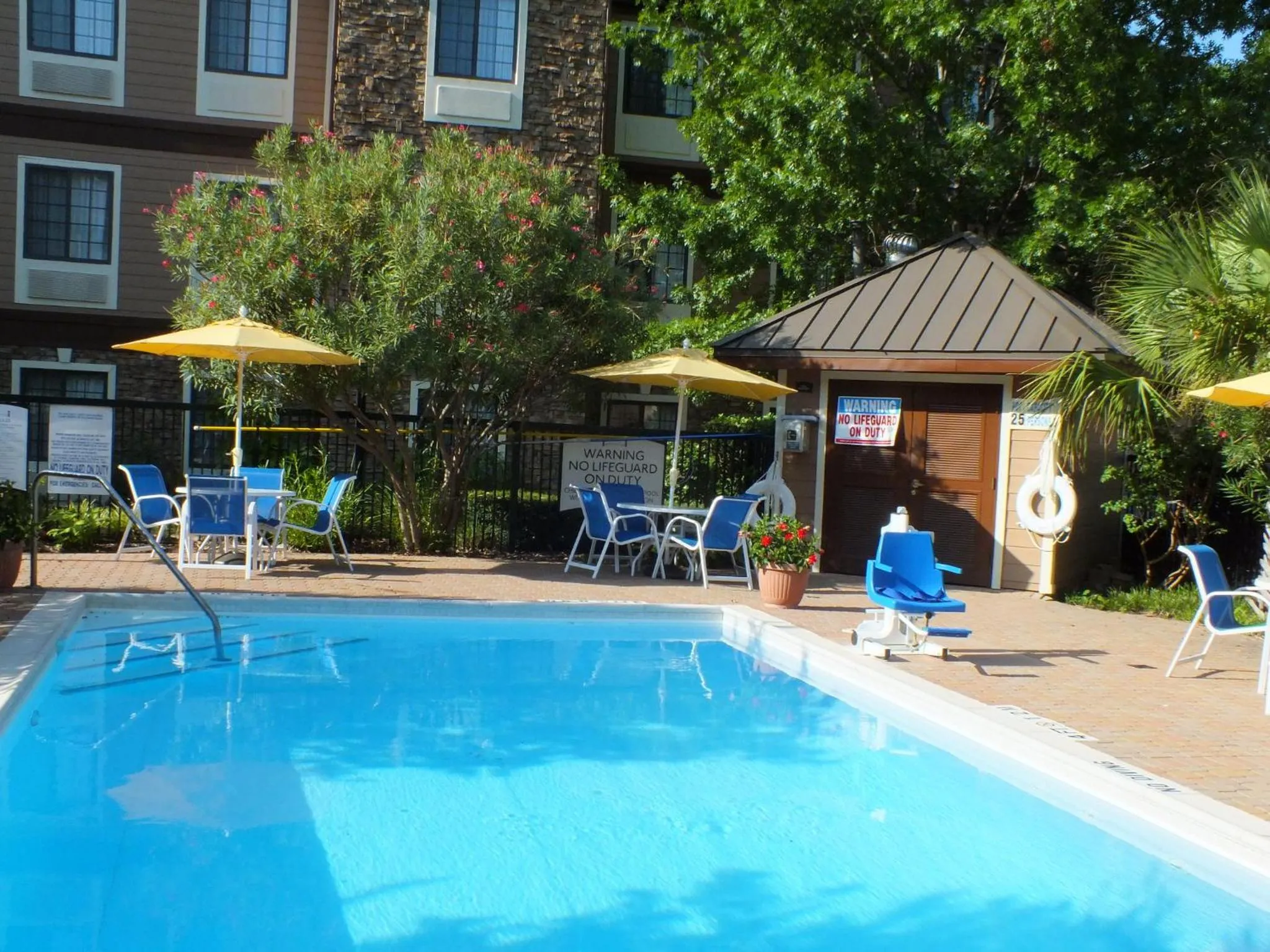 Swimming pool in Staybridge Suites Irving Las Colinas by IHG