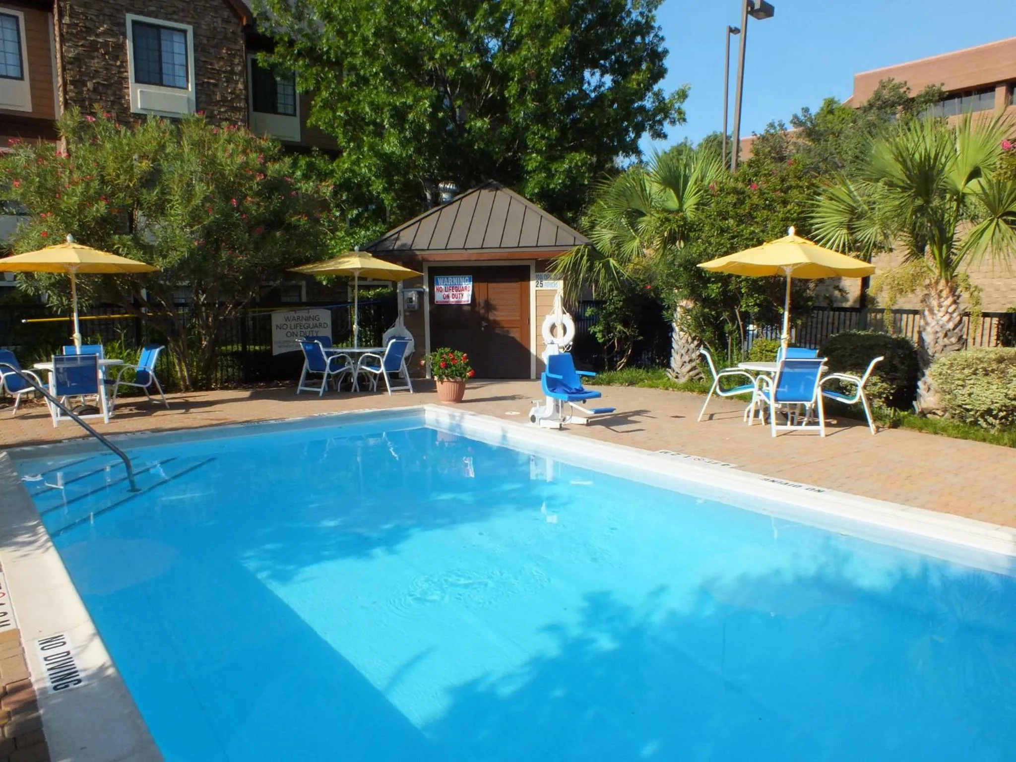 Swimming pool in Staybridge Suites Irving Las Colinas by IHG