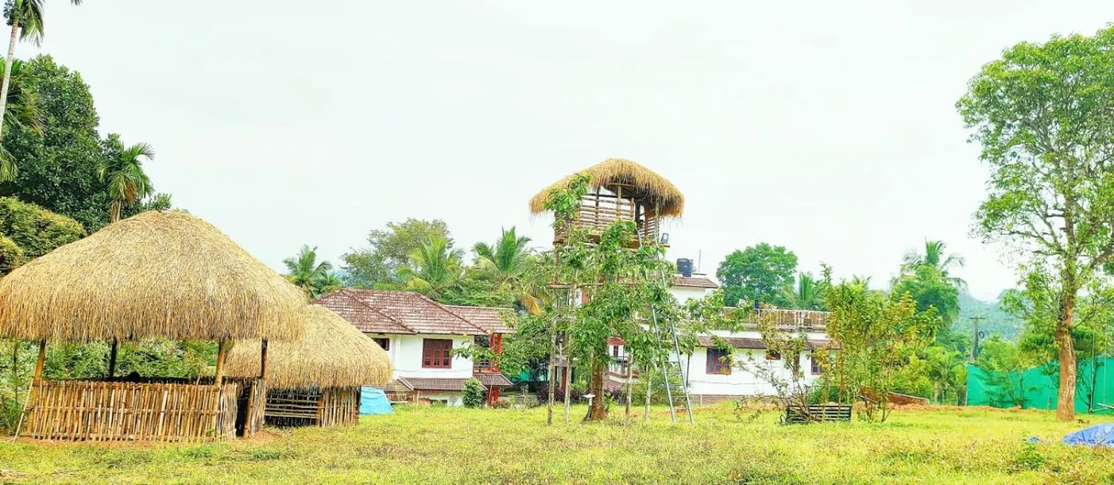 Wayanad Three Roots Holiday Home Resort