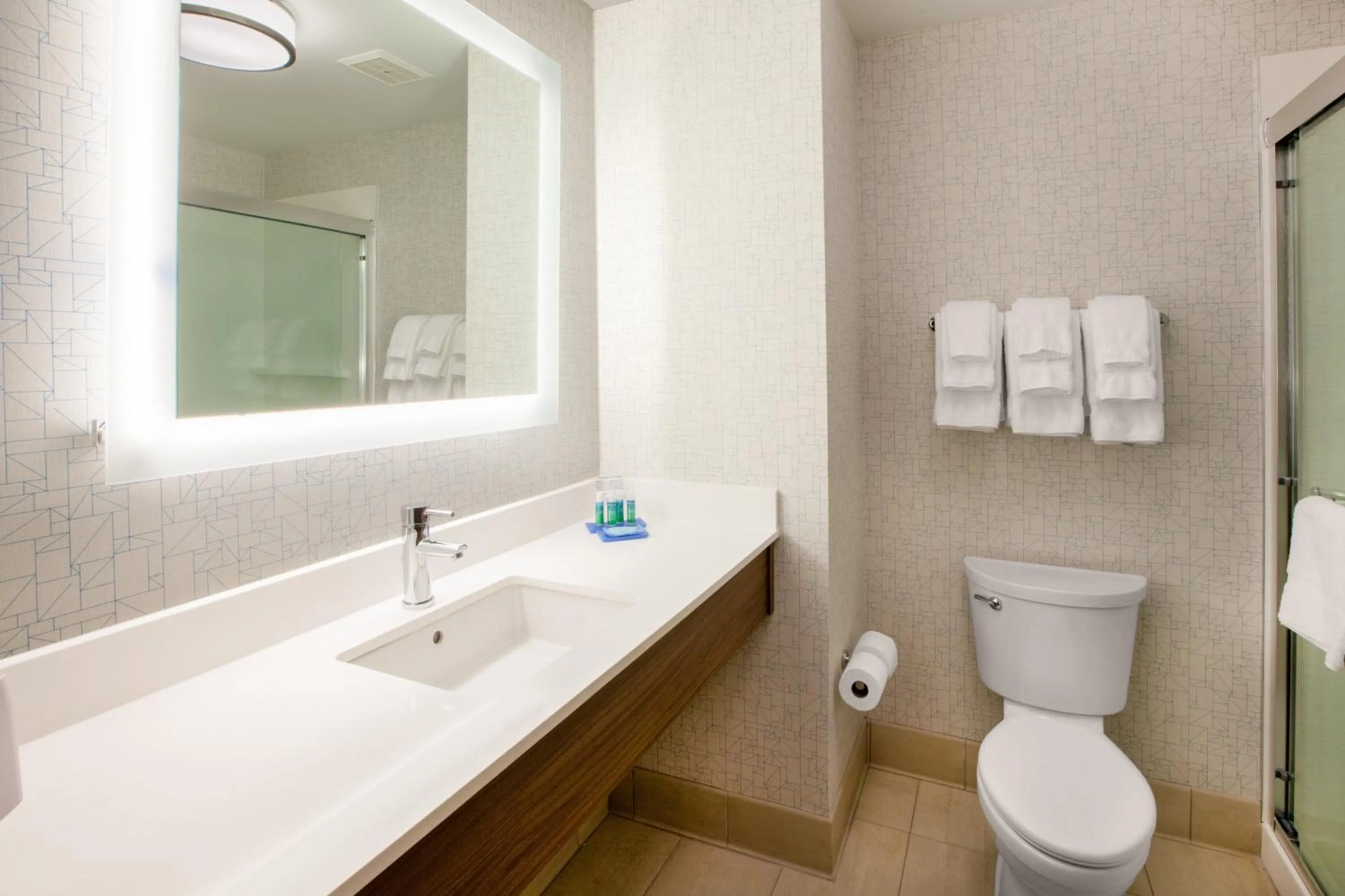 Bathroom in Holiday Inn Express Hotel & Suites Savannah Midtown by IHG