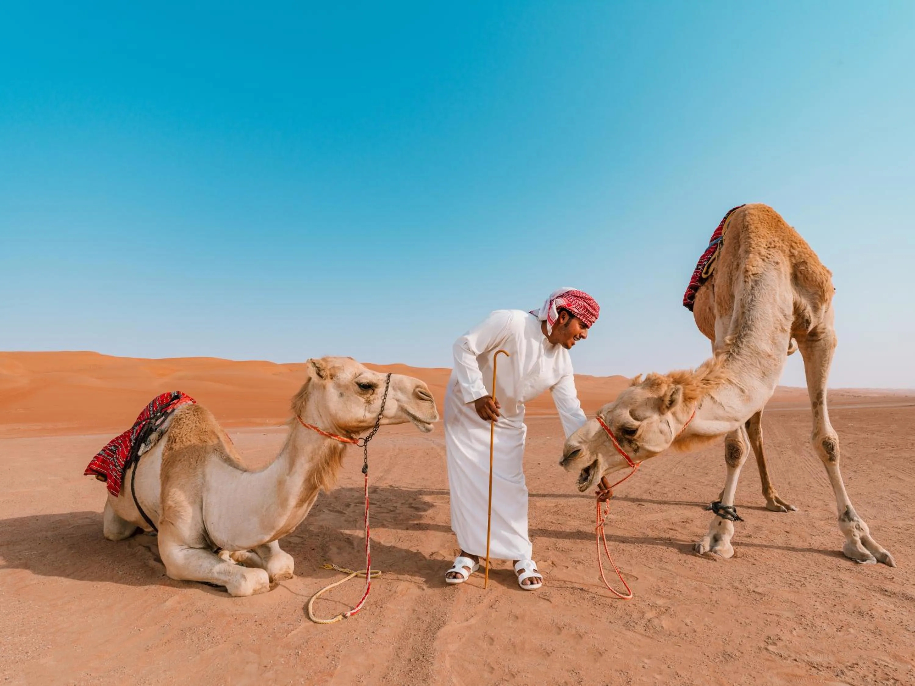 Activities in Desert Nights Resort