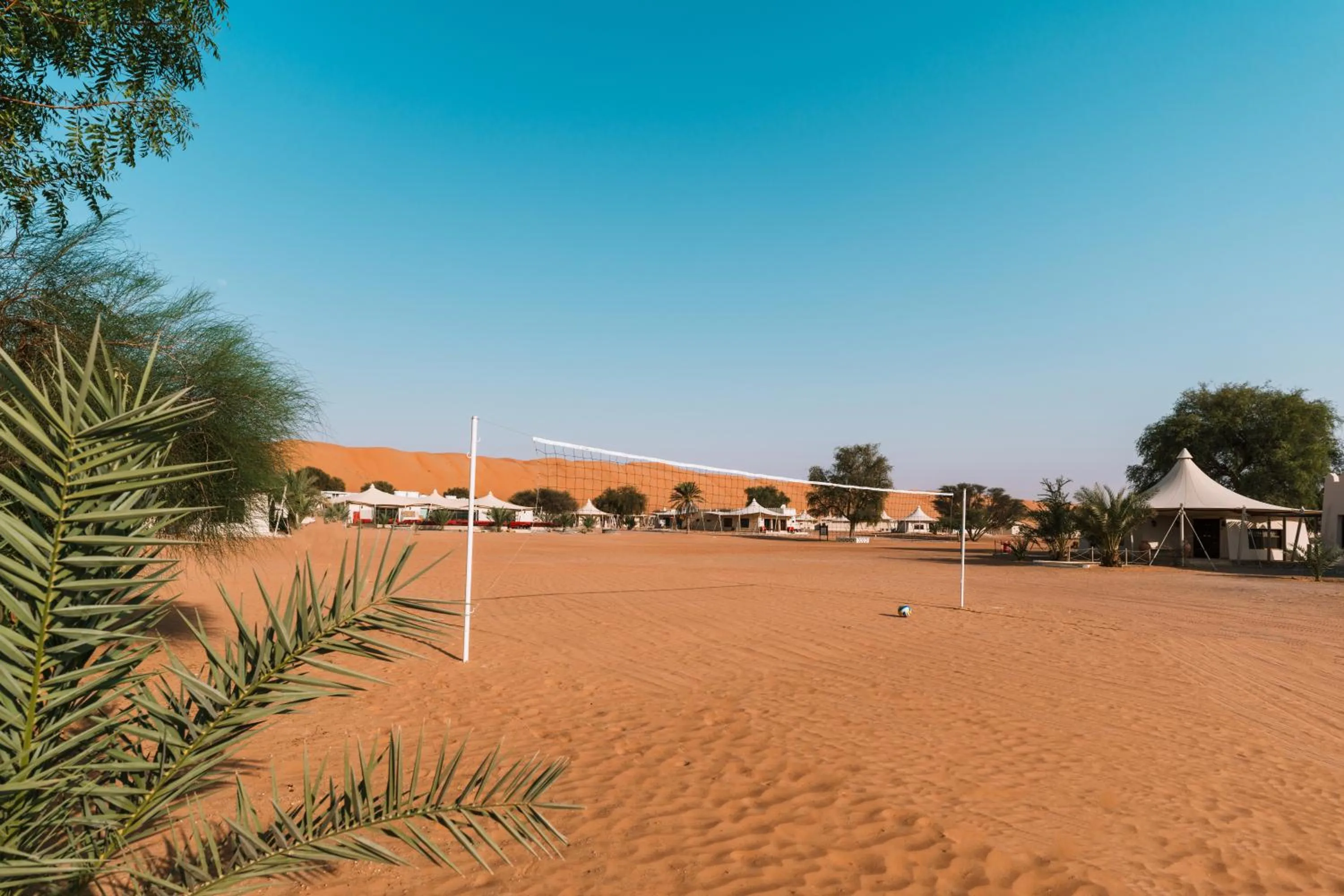 Activities in Desert Nights Resort