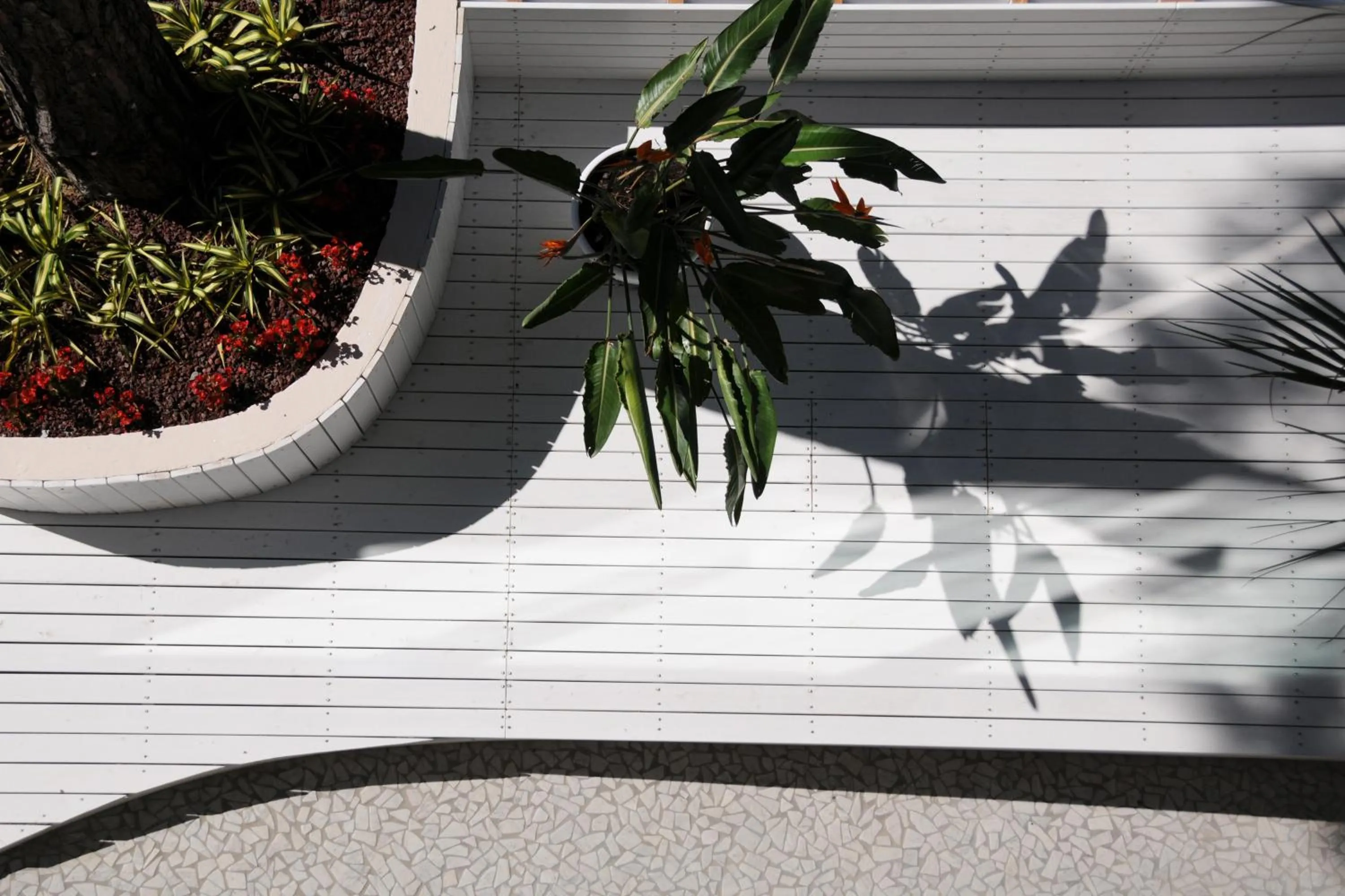 Garden in Hotel Caribia Pinarella