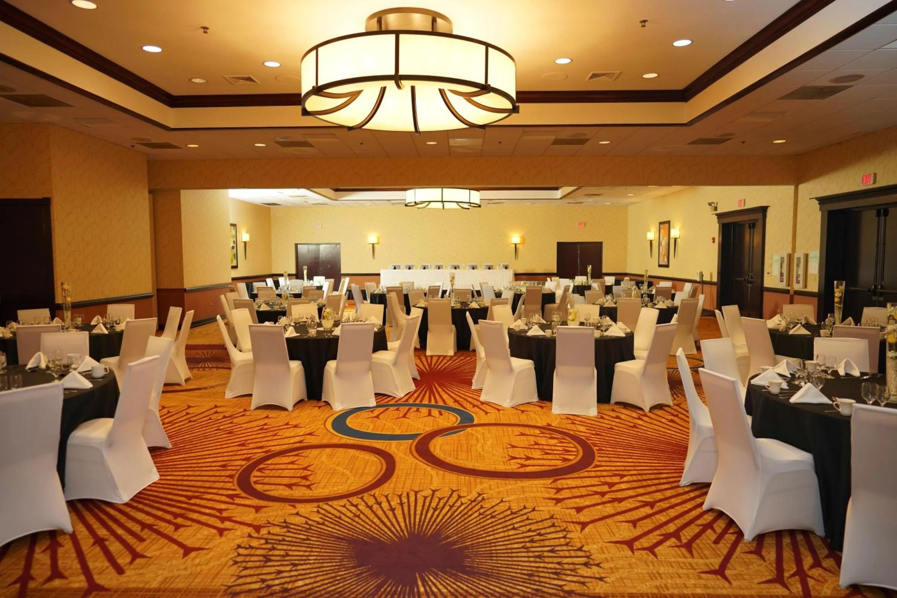 Banquet/Function facilities in Holiday Inn & Suites Chicago-Carol Stream Wheaton by IHG