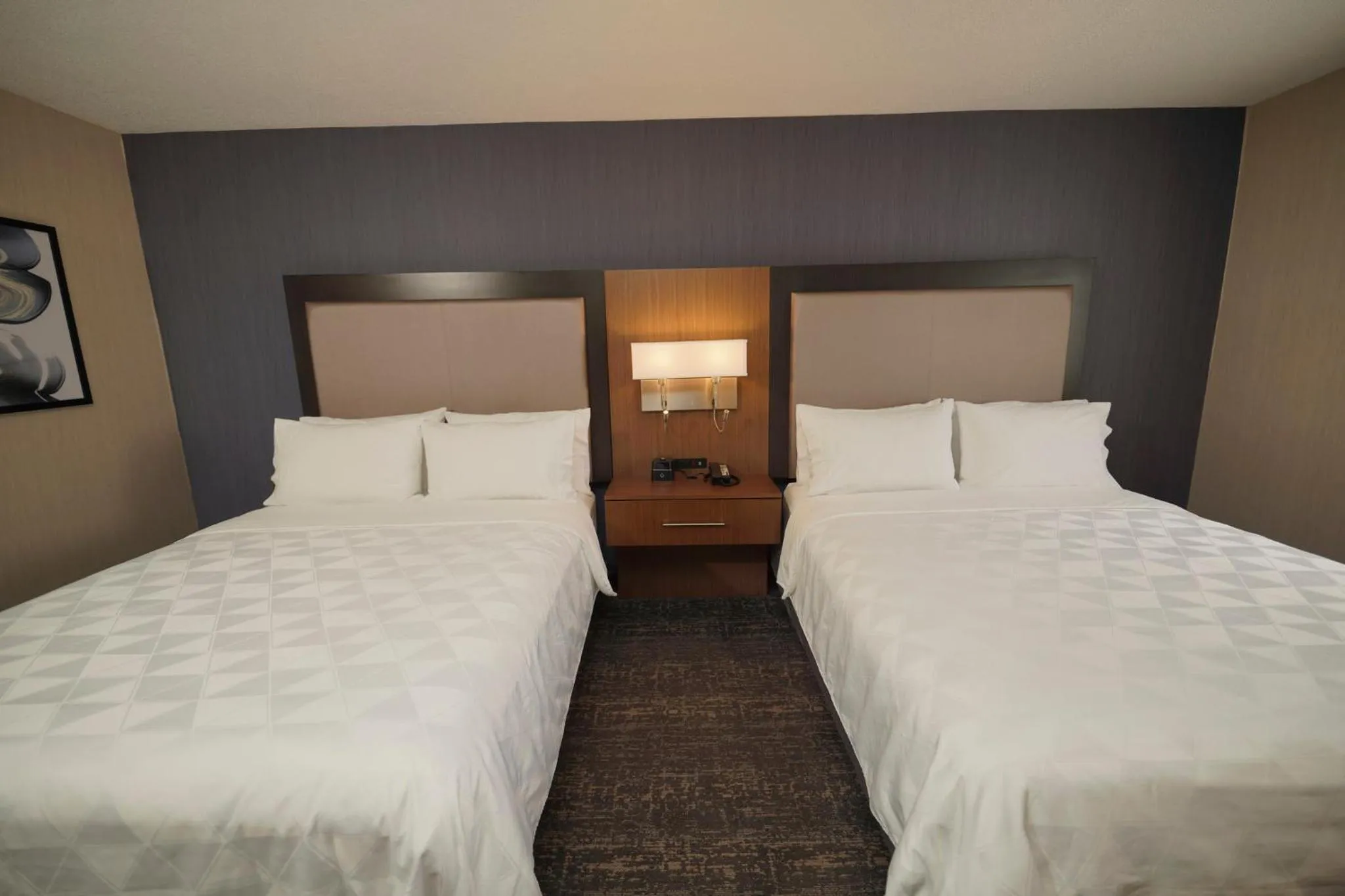 Photo of the whole room, Bed in Holiday Inn & Suites Chicago-Carol Stream Wheaton by IHG