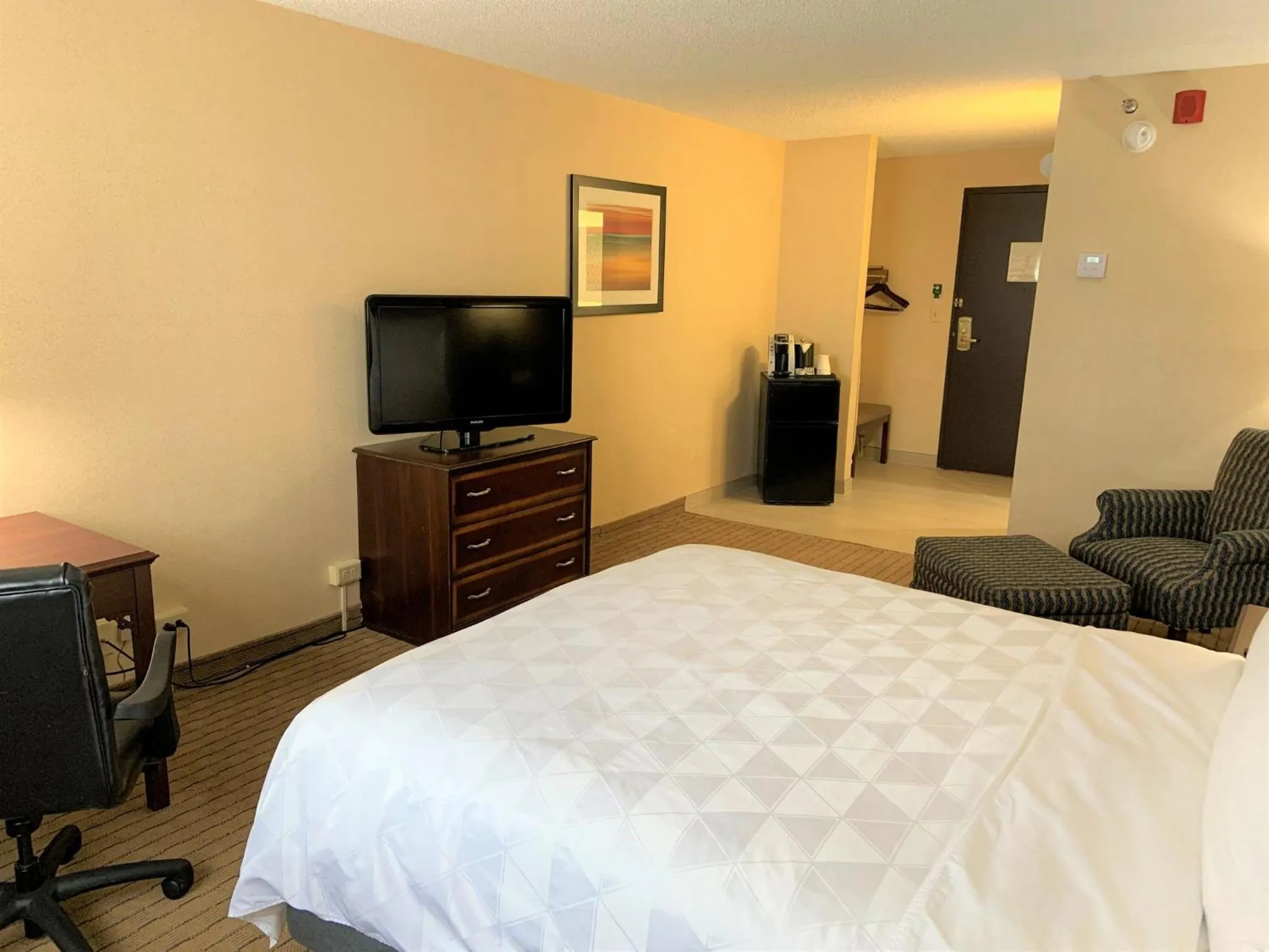 Photo of the whole room, Bed in Holiday Inn & Suites Chicago-Carol Stream Wheaton by IHG