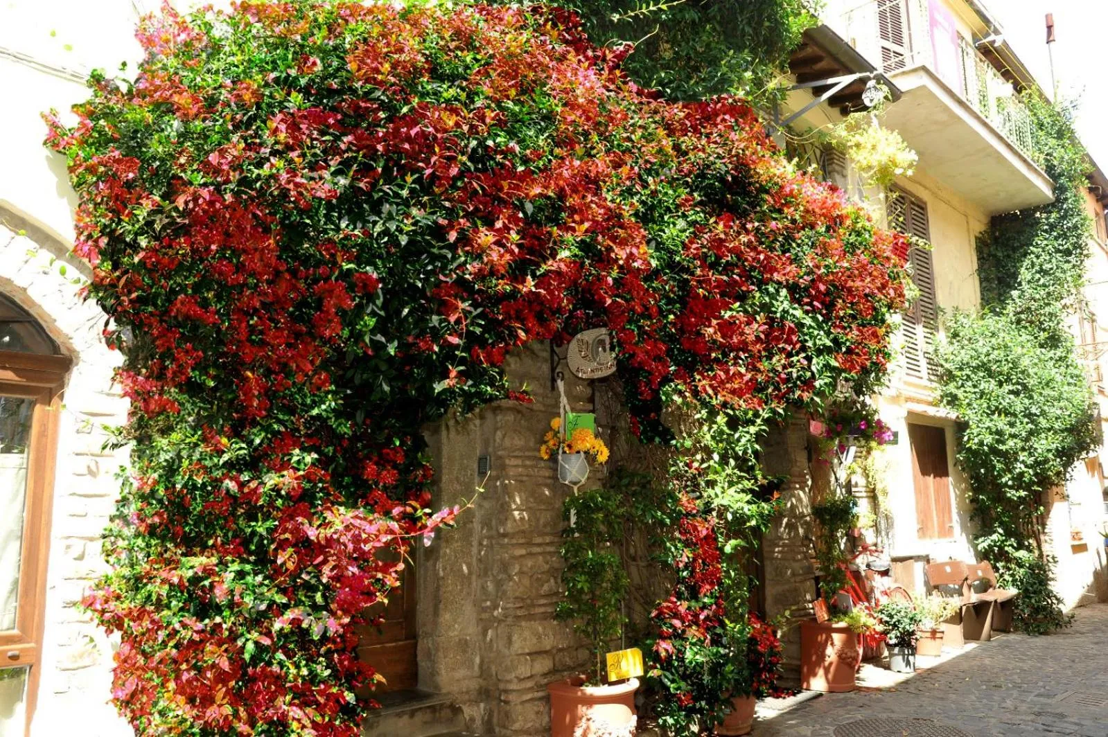 Atlantis Inn Castelgandolfo