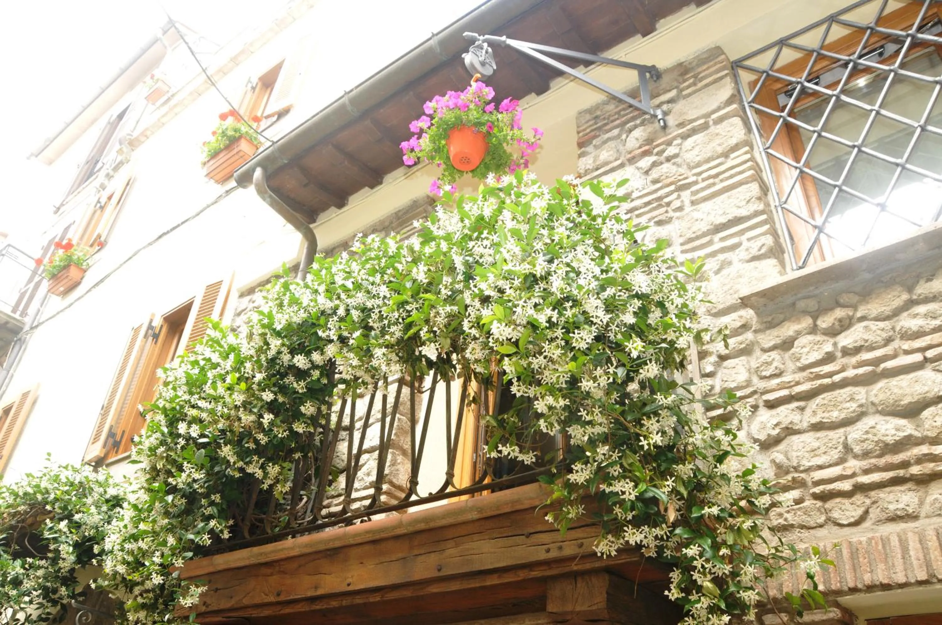 Balcony/Terrace in Atlantis Inn Castelgandolfo