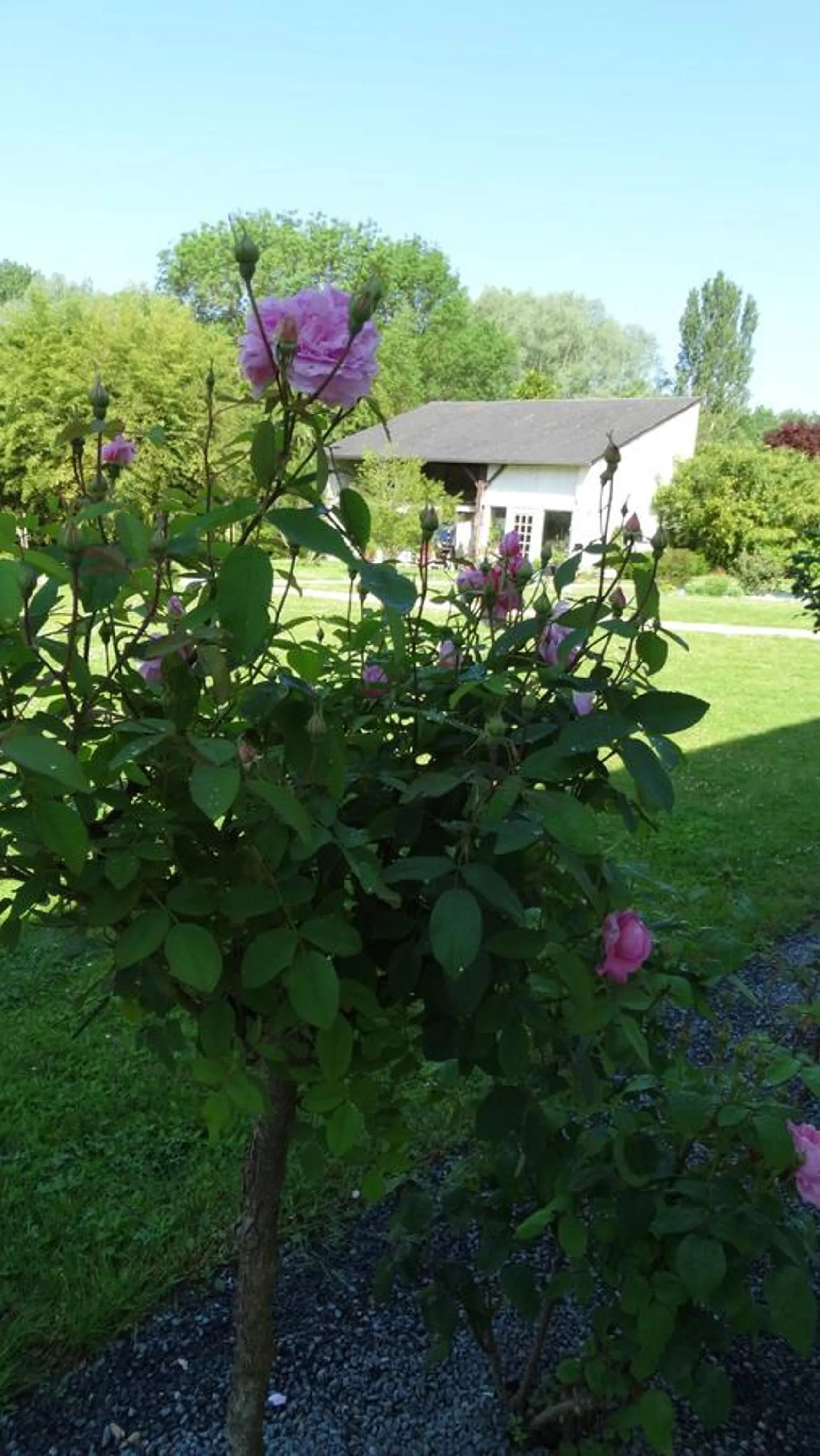 Garden view in Moulin de reigner