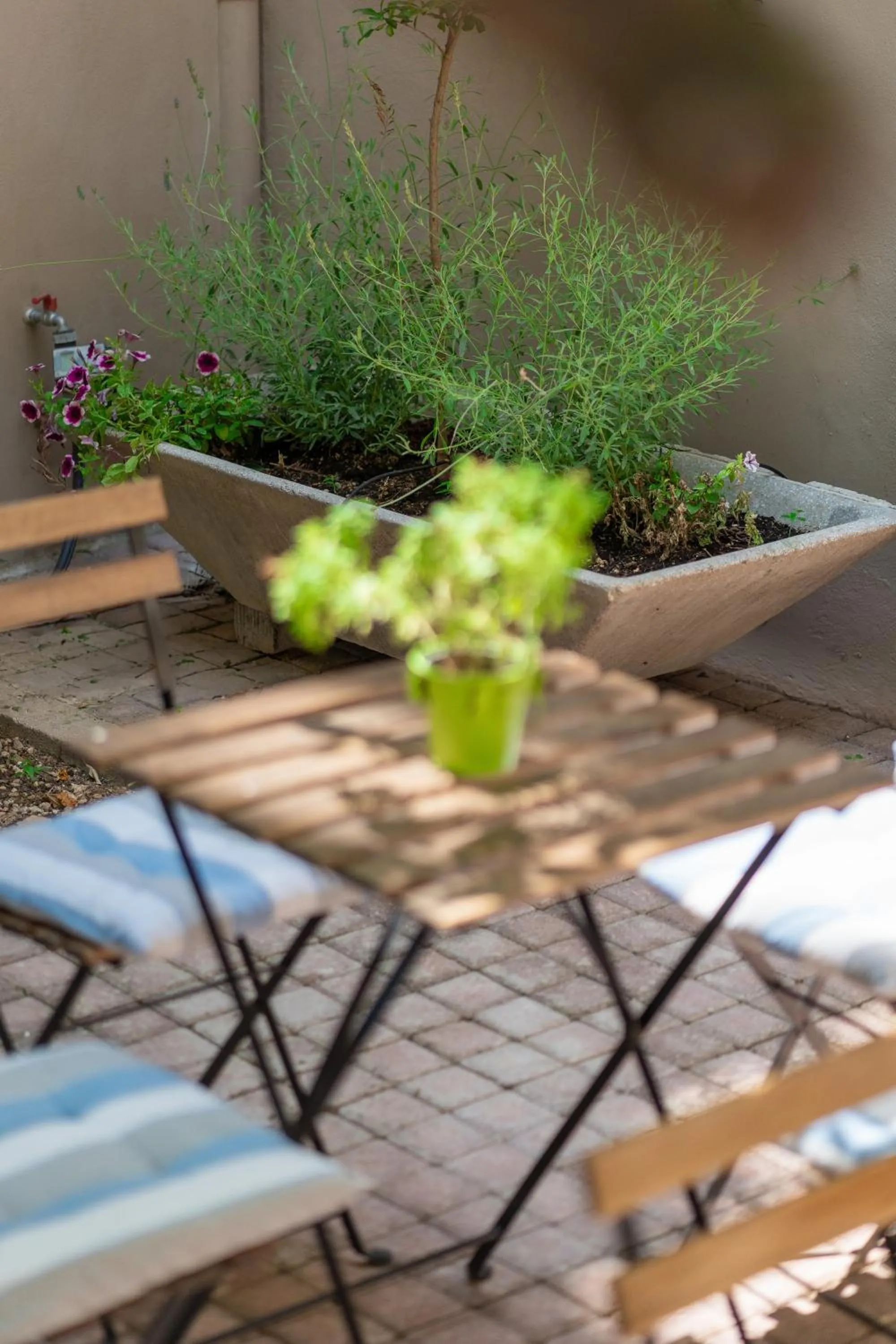 Patio in The Koukaki Residence