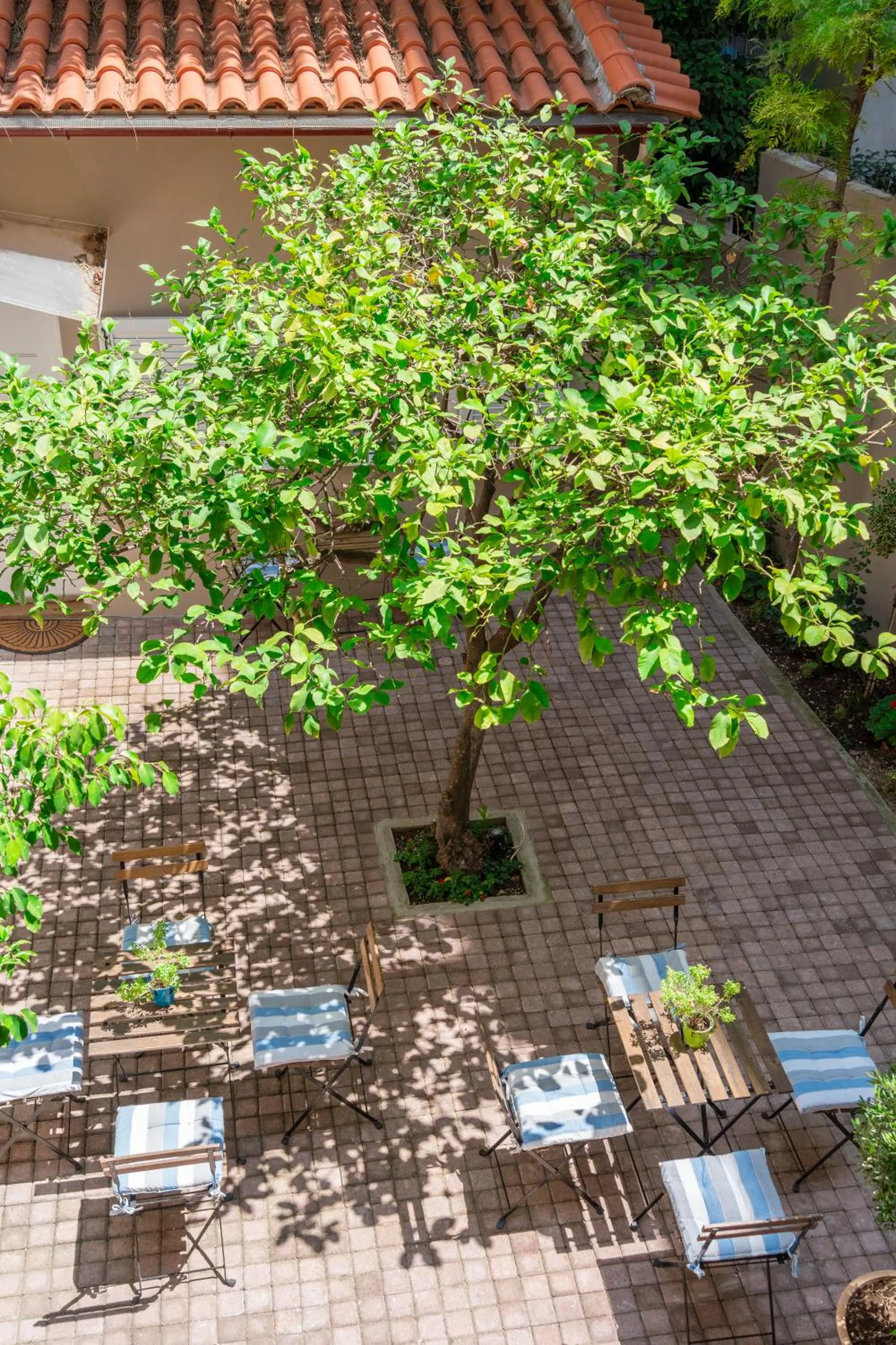 Patio in The Koukaki Residence