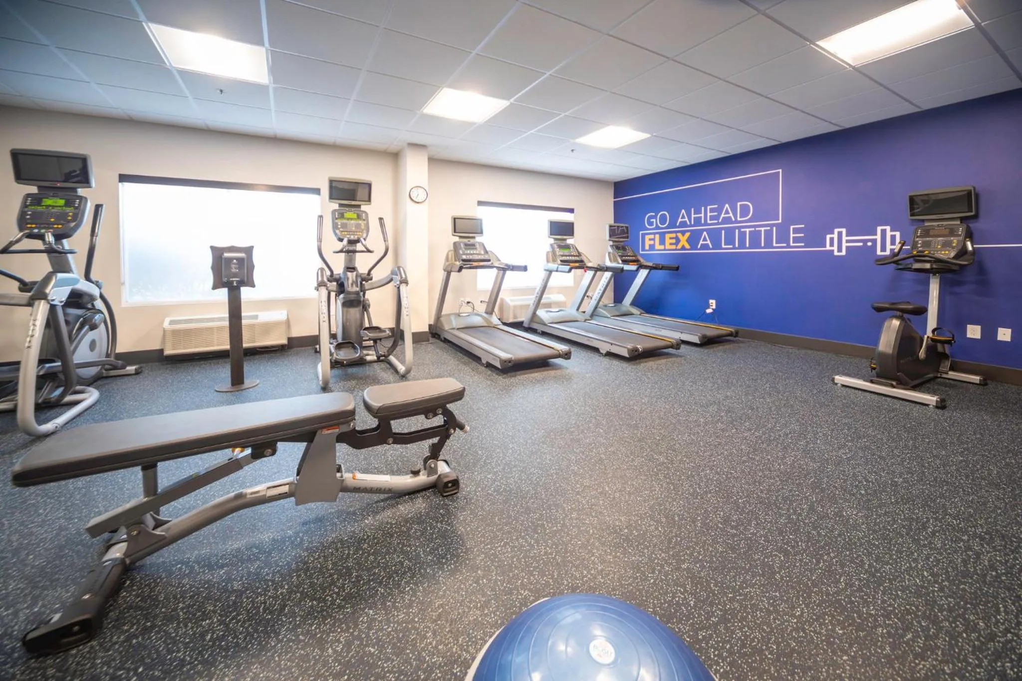 Fitness centre/facilities in Holiday Inn Express and Suites Atlanta-Johns Creek by IHG