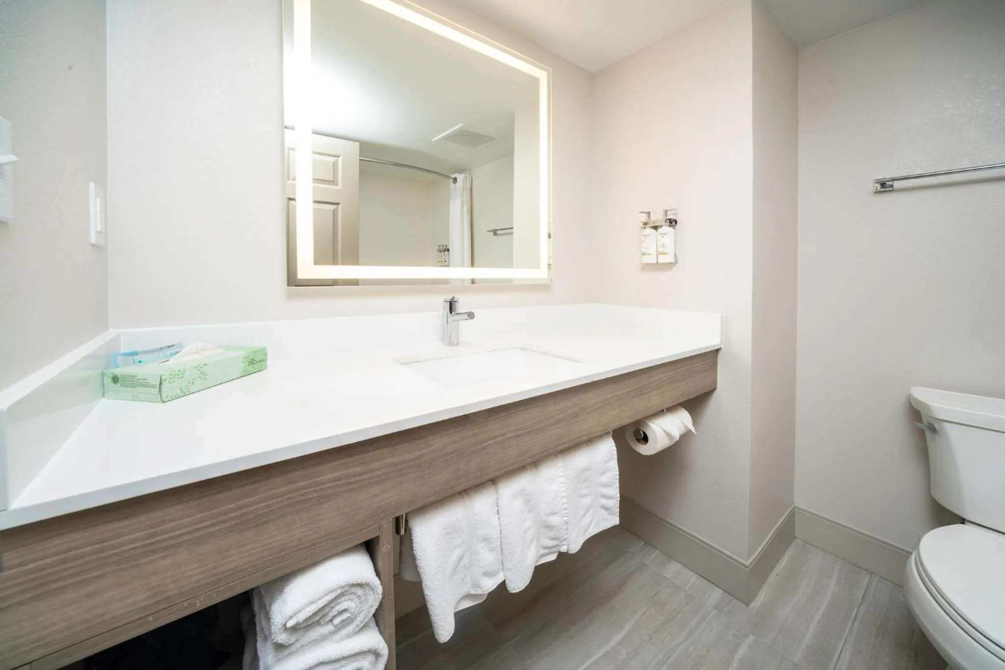 Bathroom in Holiday Inn Express and Suites Atlanta-Johns Creek by IHG