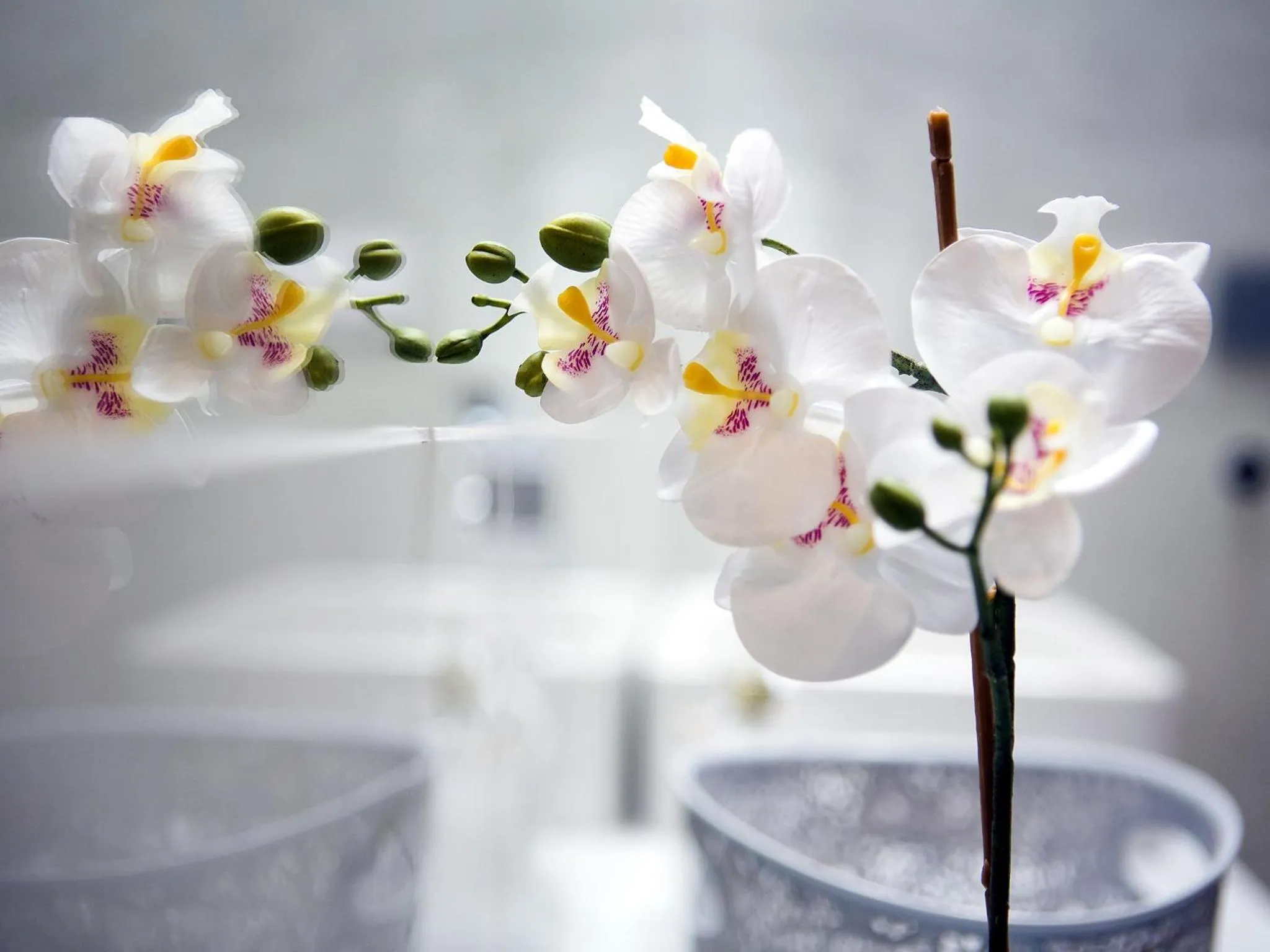 Decorative detail in Softly Residence