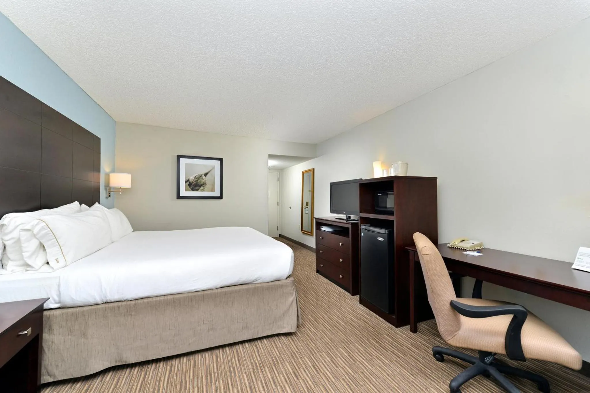 Photo of the whole room, Bed in Holiday Inn Express Hotel & Suites Tampa-Rocky Point Island by IHG