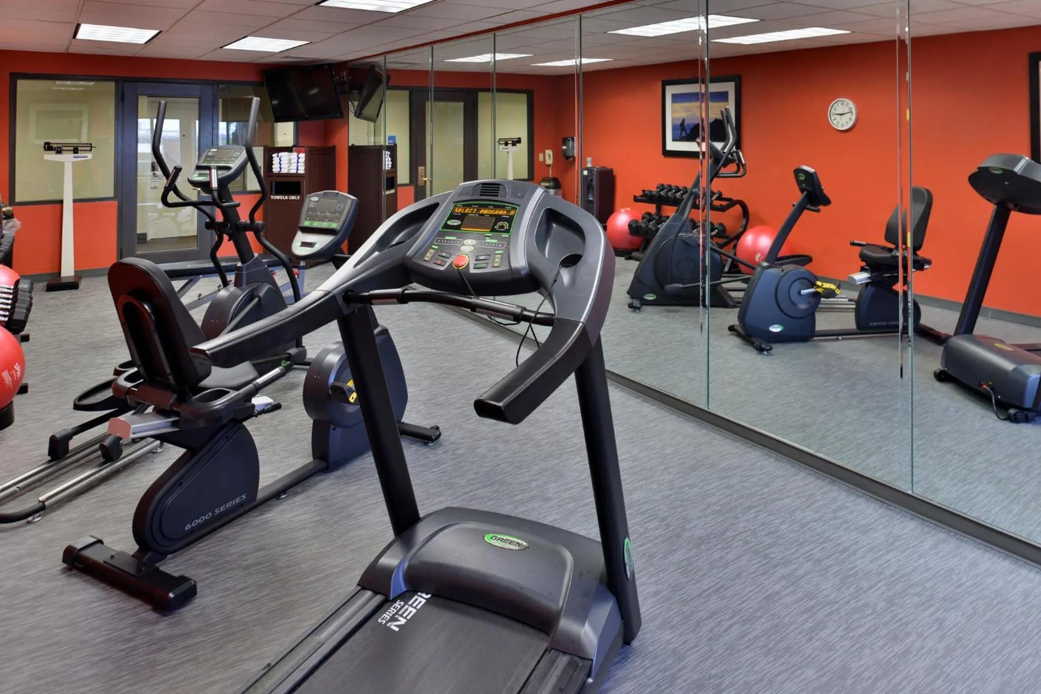 Fitness centre/facilities in Holiday Inn Express Hotel & Suites Tampa-Rocky Point Island by IHG