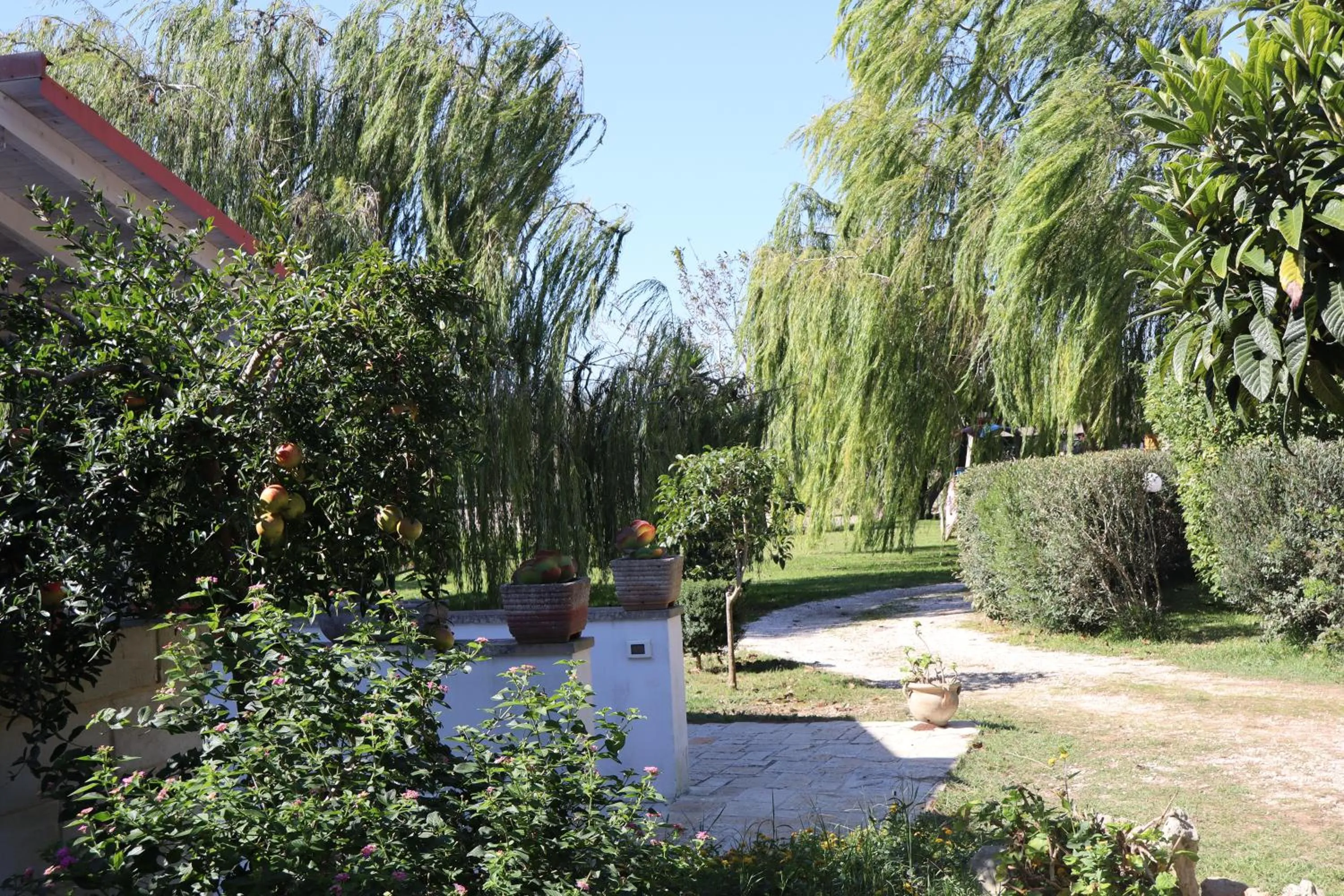 Agriturismo Le Tagliate