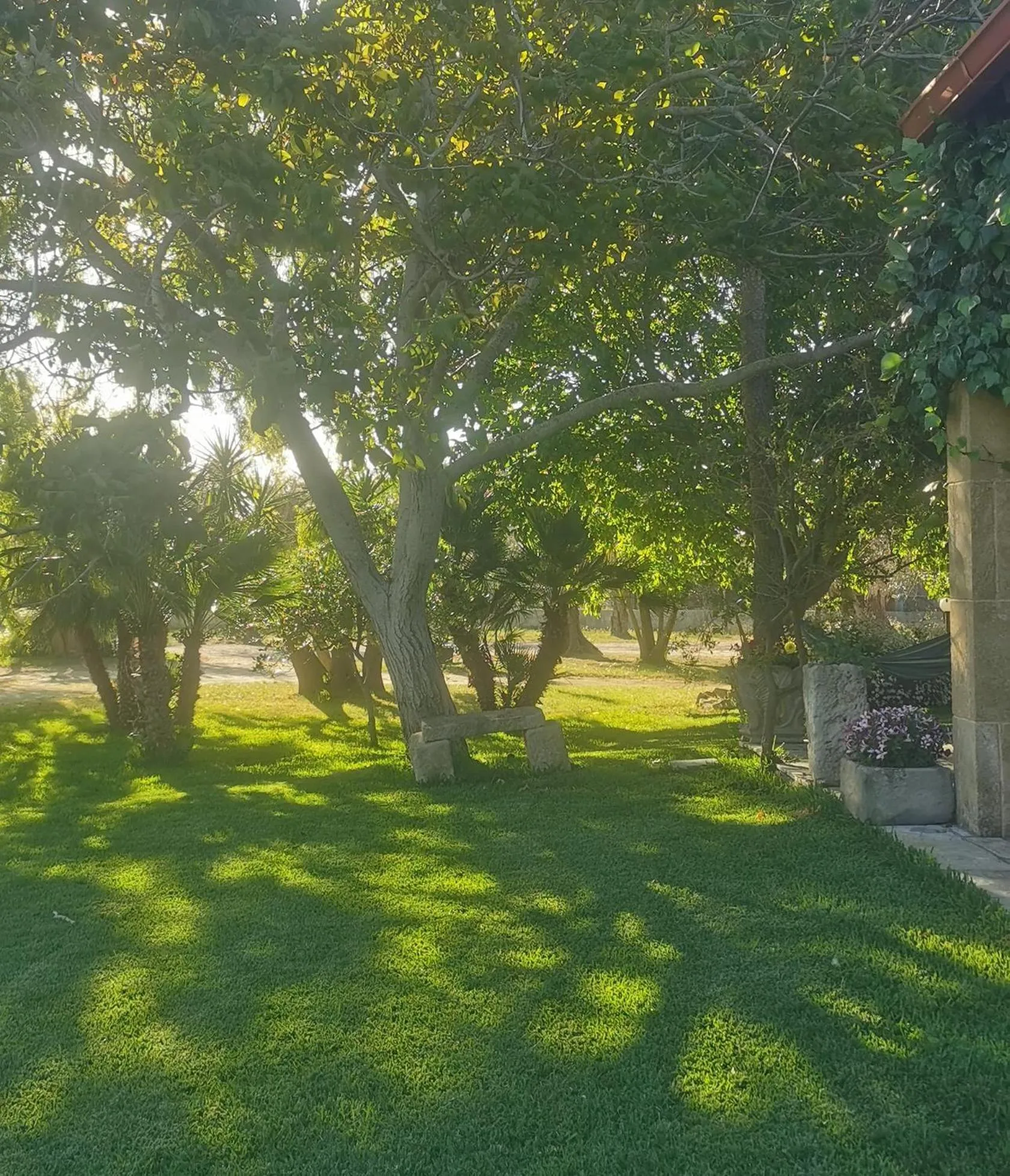 Natural landscape in Agriturismo Le Tagliate