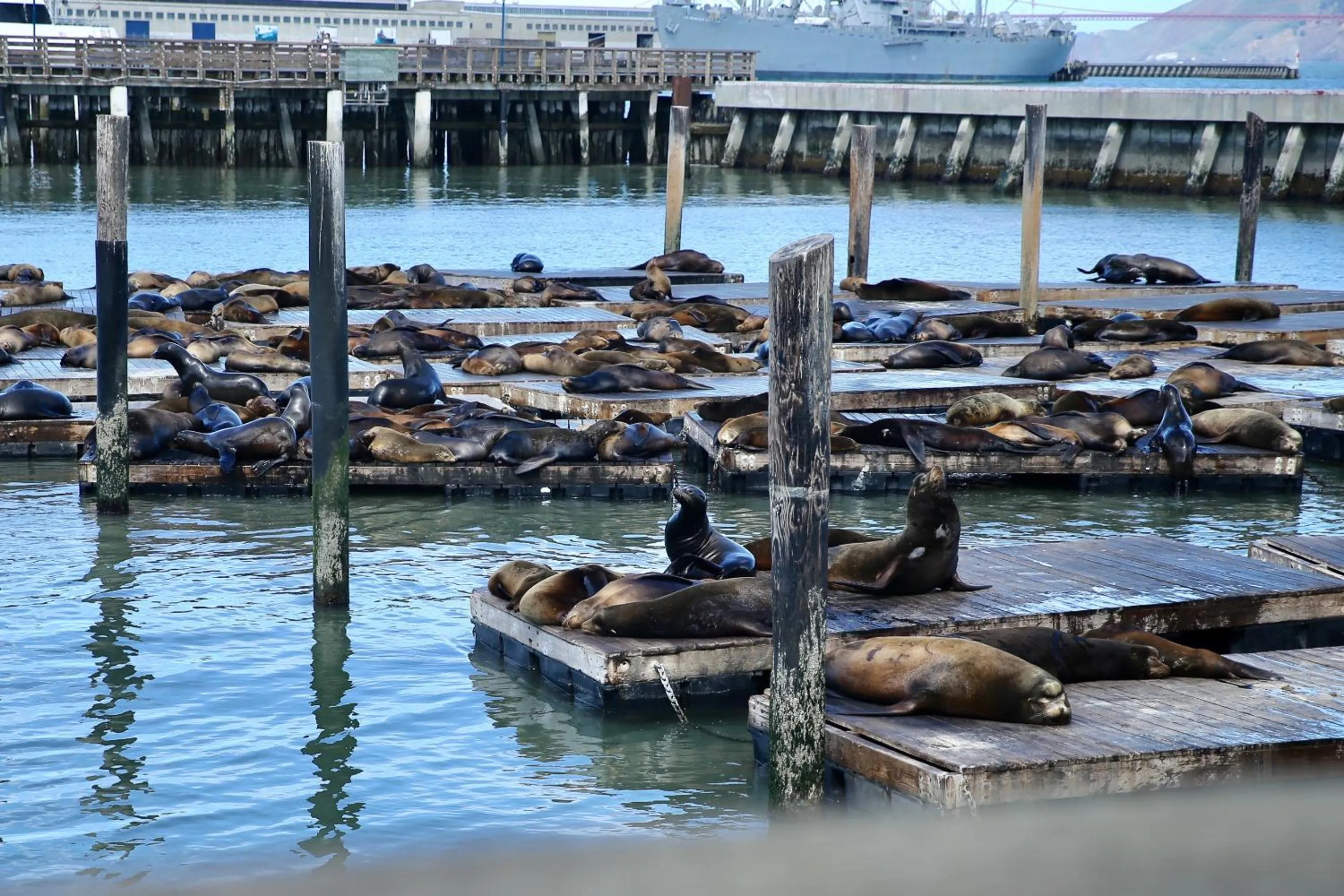Nearby landmark in Hotel Del Sol