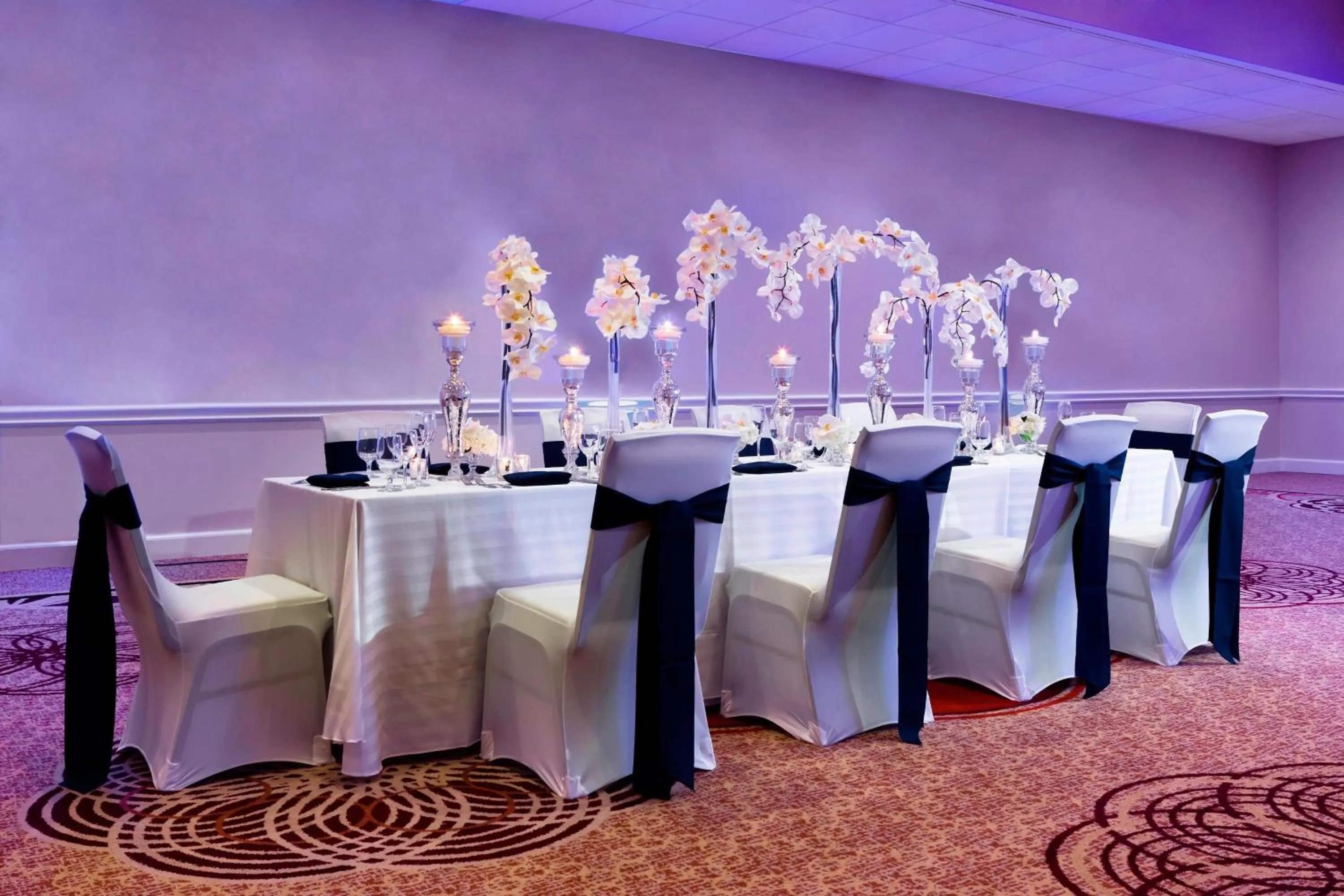 Meeting/conference room in Sheraton Tampa Brandon Hotel