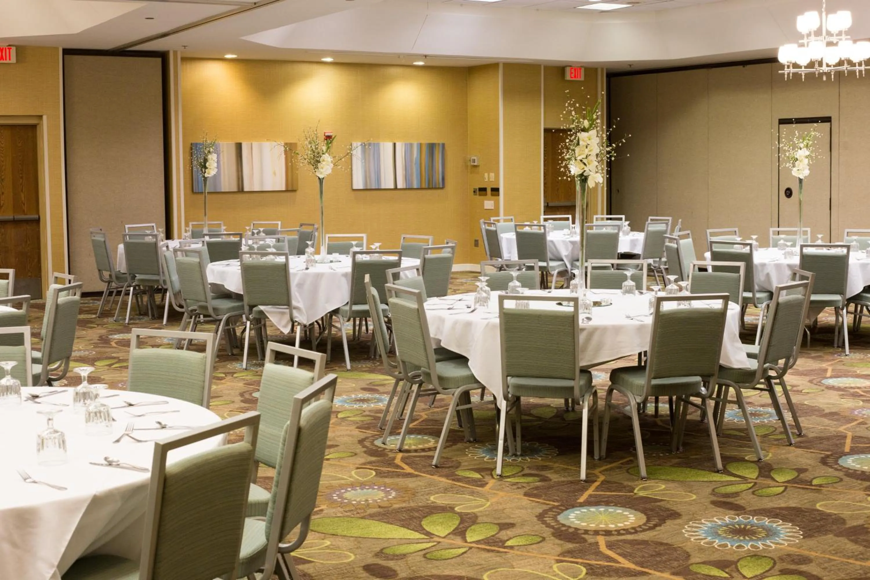 Banquet/Function facilities in Holiday Inn & Suites Bolingbrook by IHG