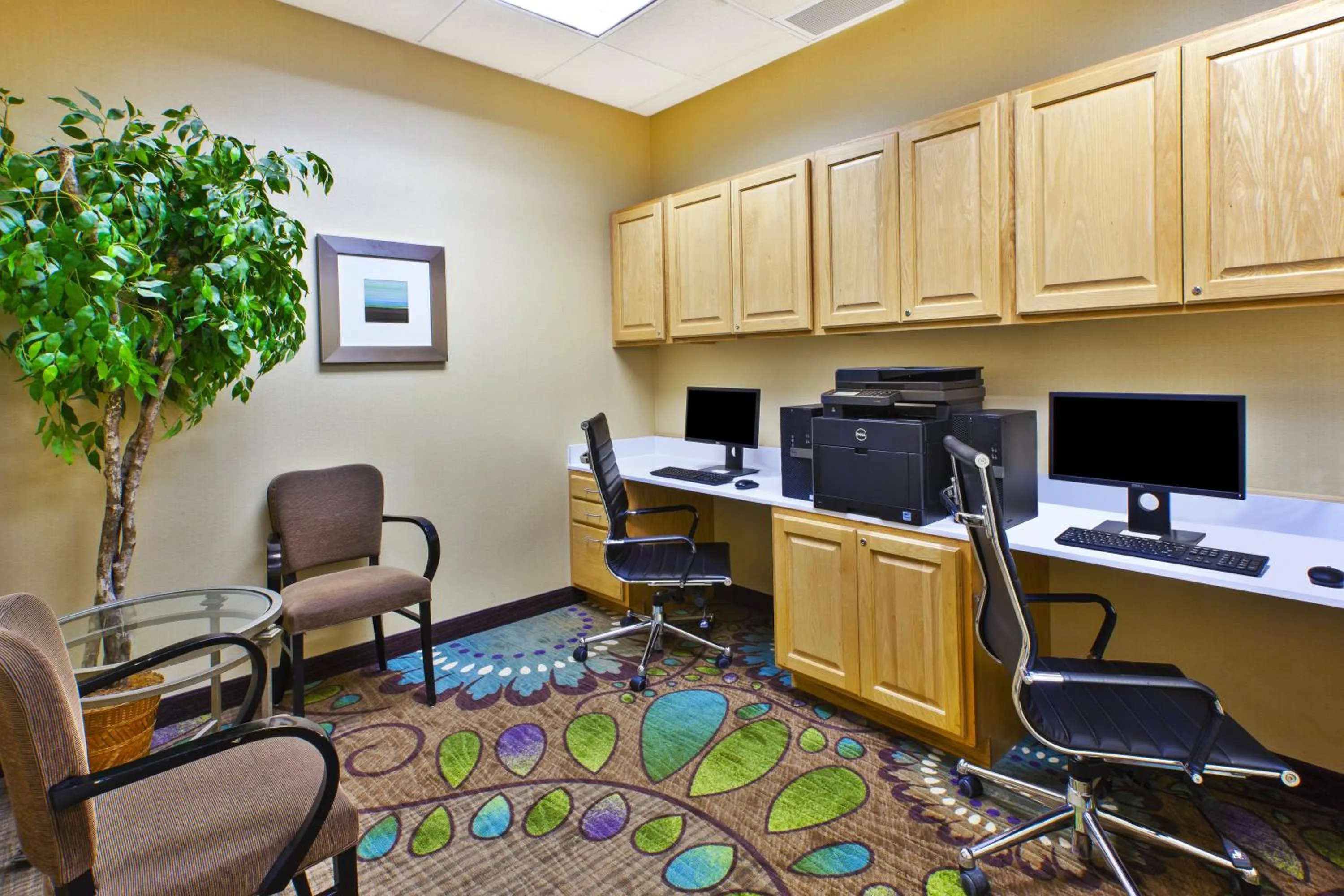 Other in Holiday Inn & Suites Bolingbrook by IHG
