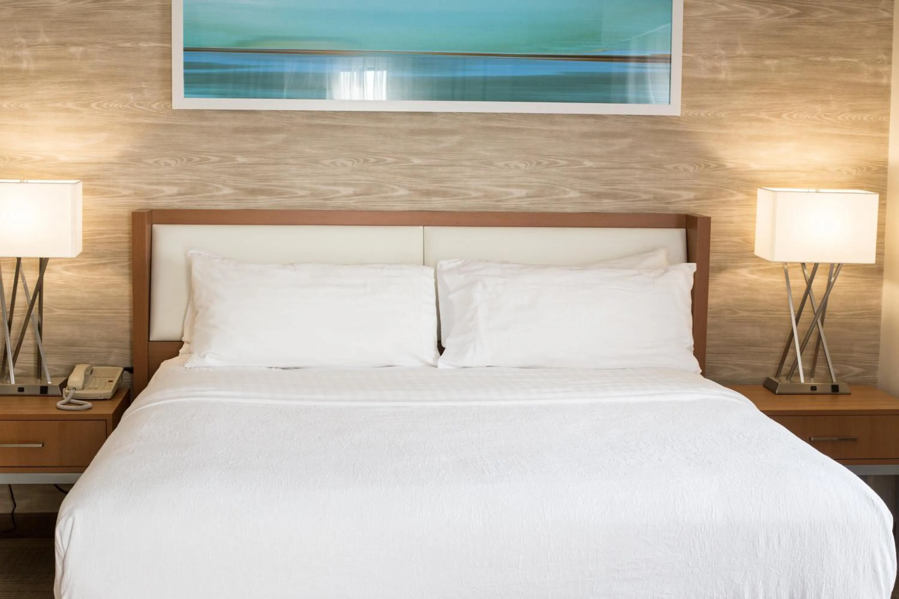 Photo of the whole room, Bed in Holiday Inn & Suites Bolingbrook by IHG