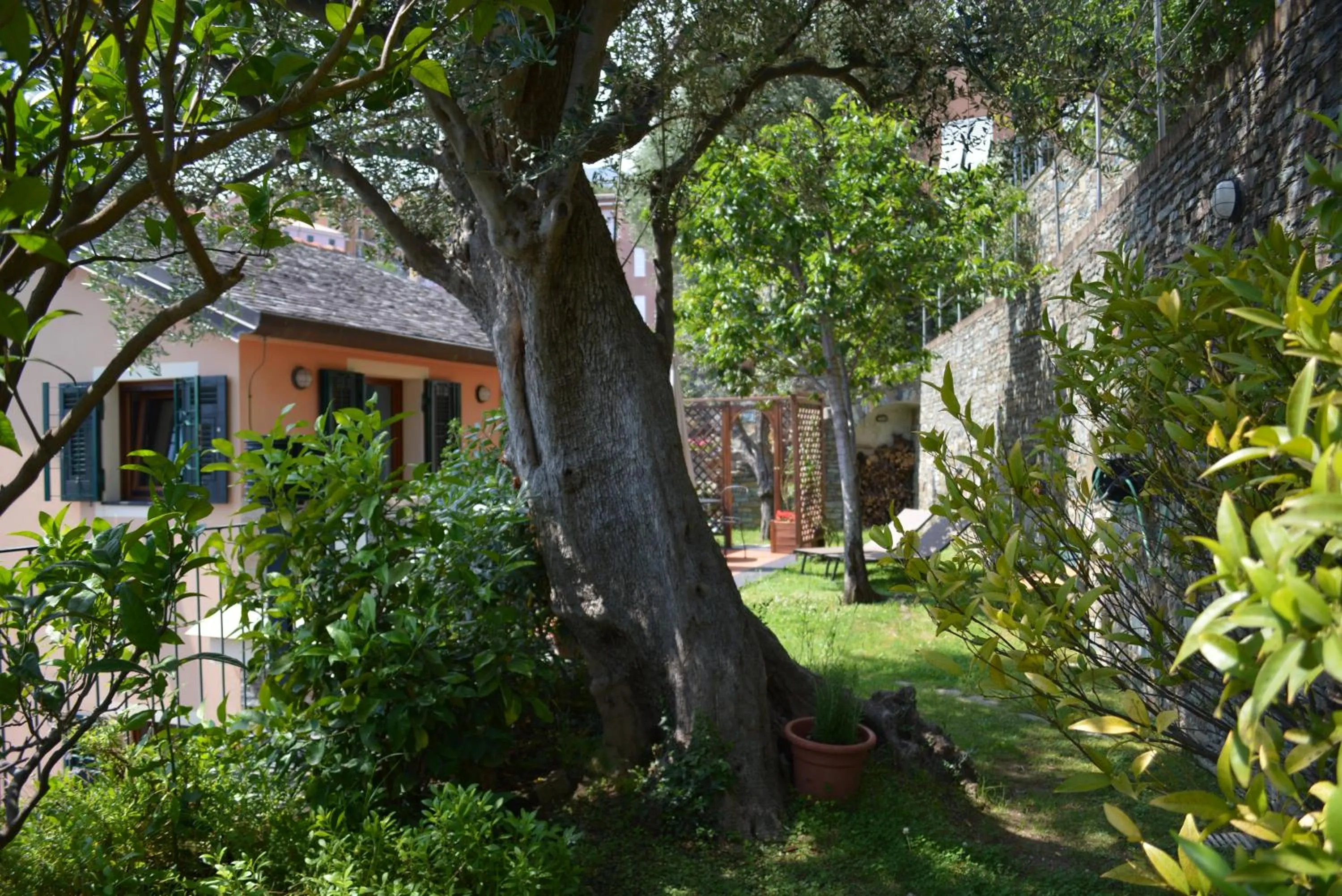 Garden in Ca da Muntà bed and breakfast