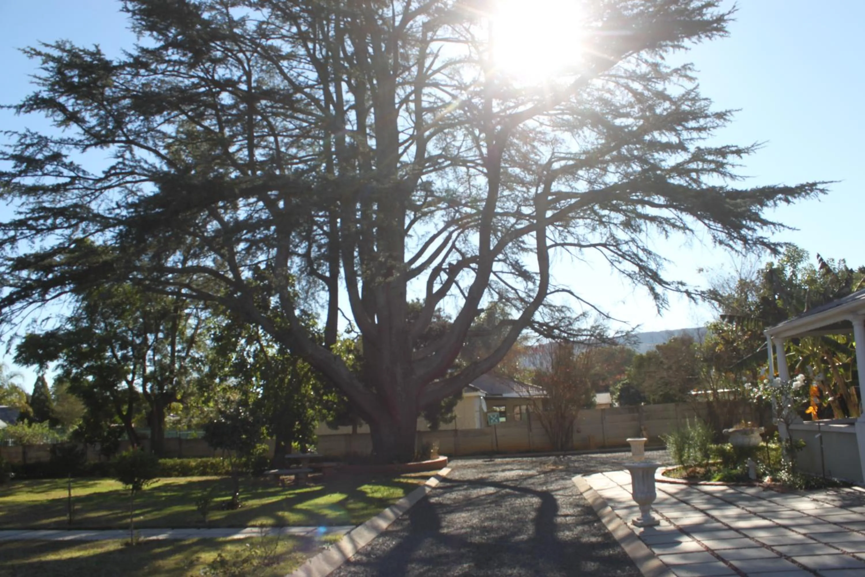 Garden in khaya4u Guesthouse