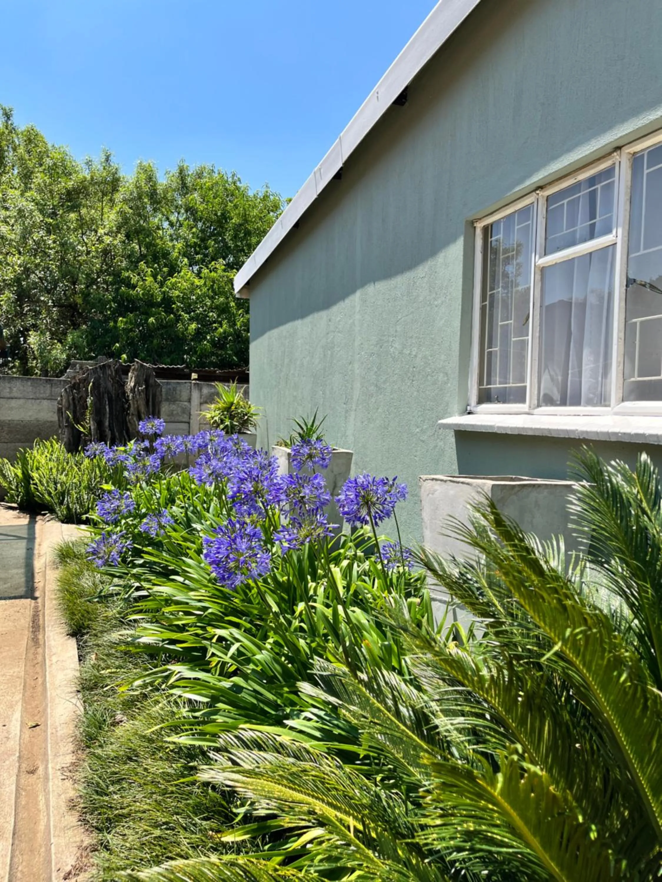 Property building in khaya4u Guesthouse