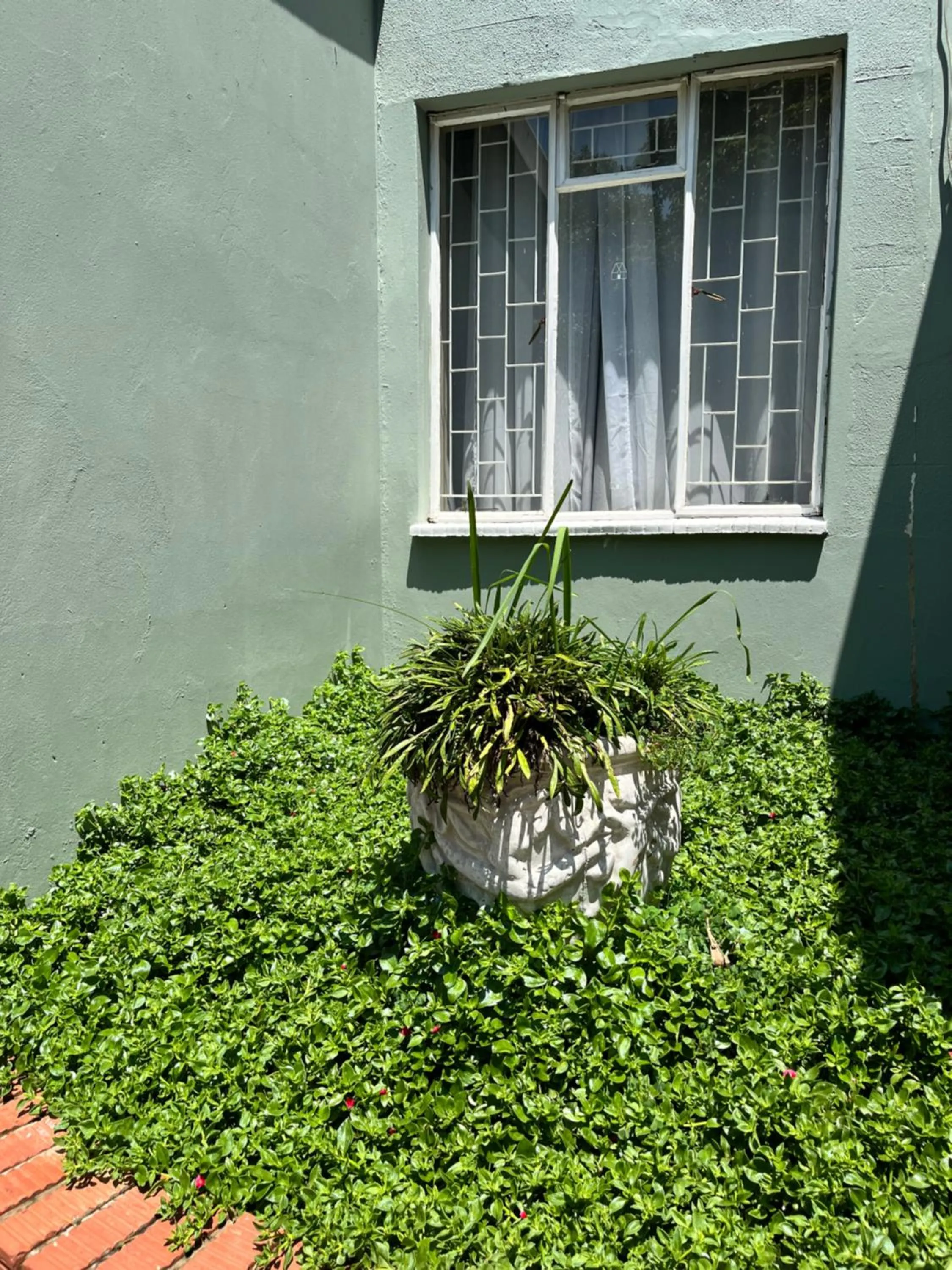 Garden in khaya4u Guesthouse