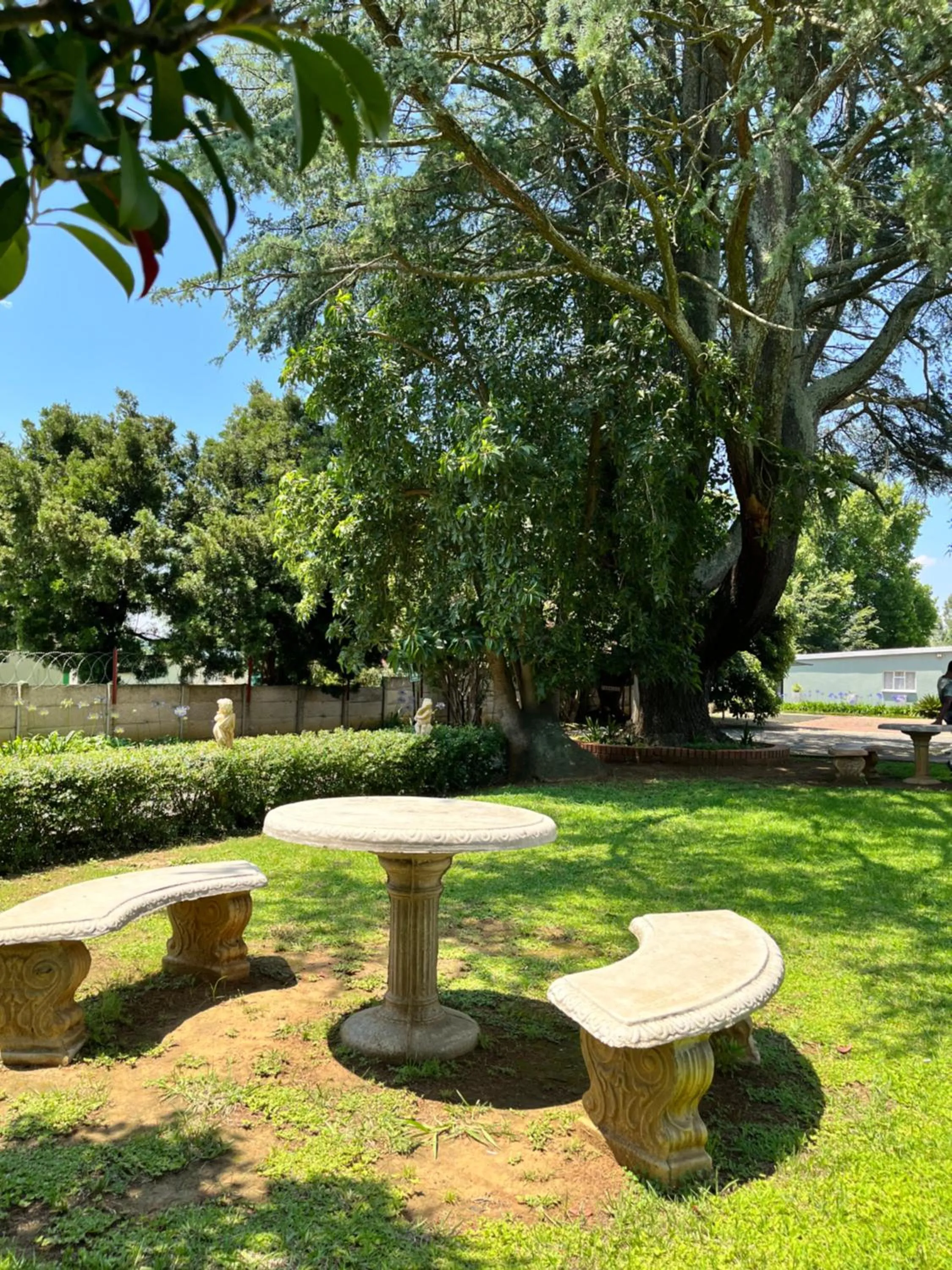 Garden in khaya4u Guesthouse