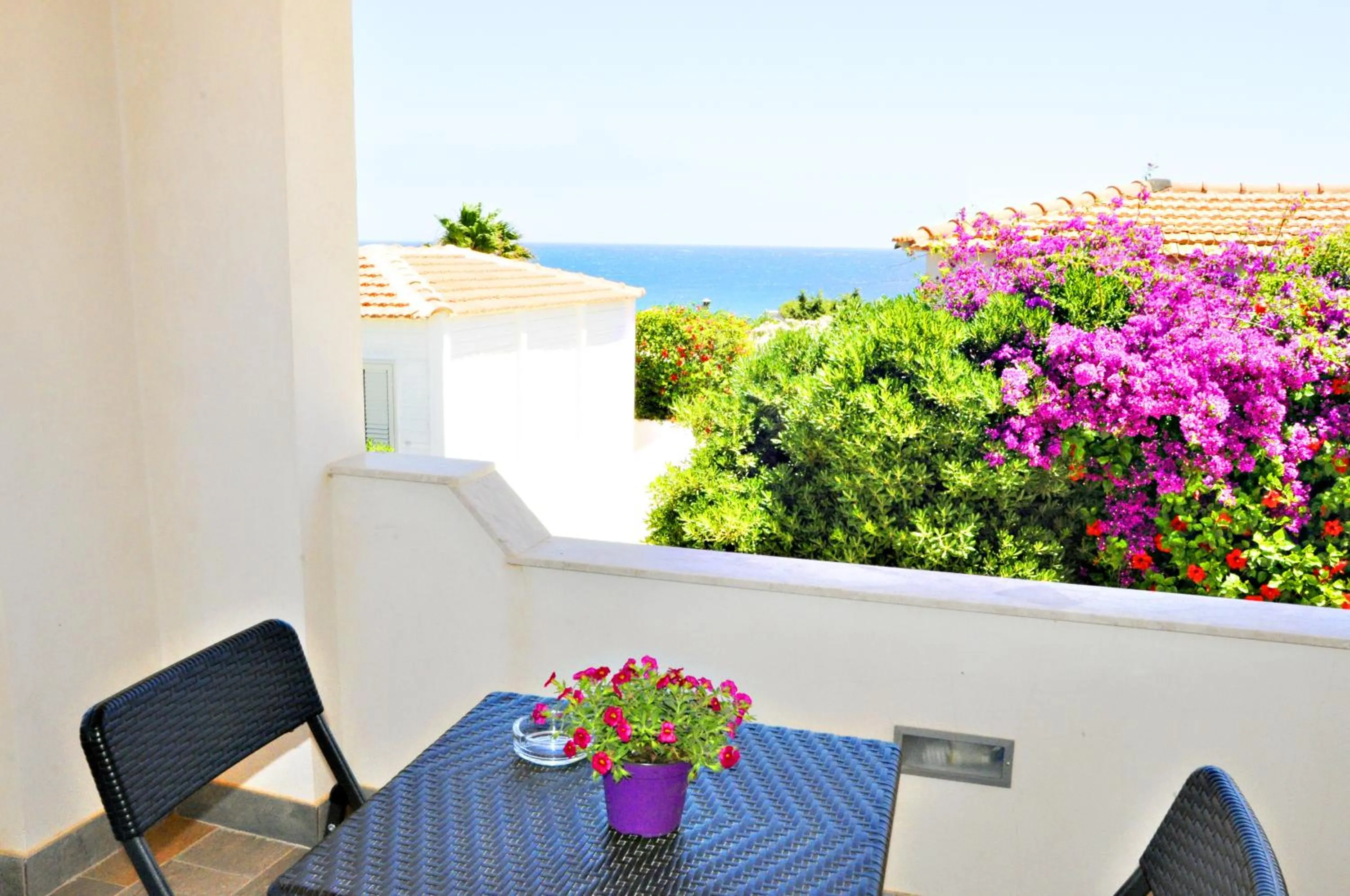 Garden in Bed and Breakfast Morghella