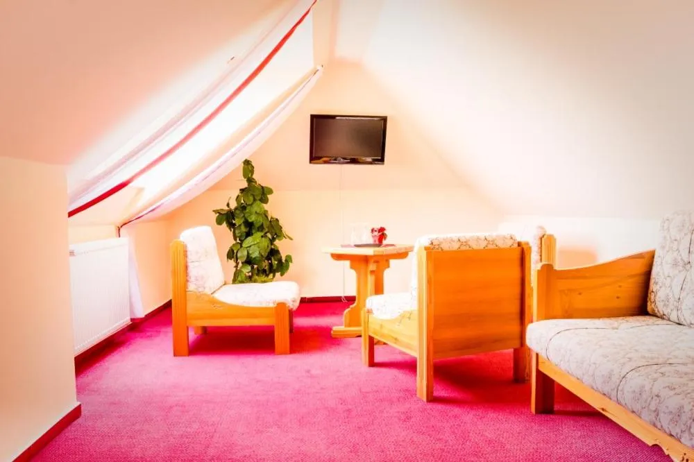 Photo of the whole room in Hotel Schloßblick Trebsen