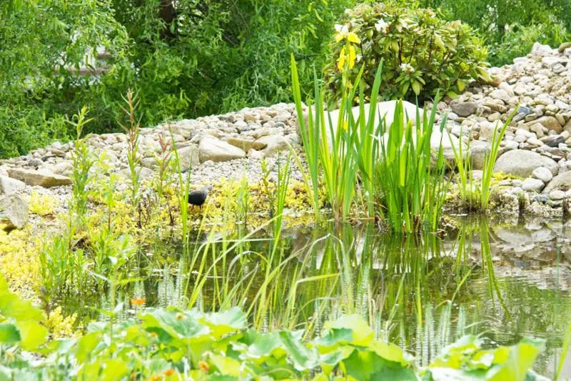 Garden in Hotel Schloßblick Trebsen