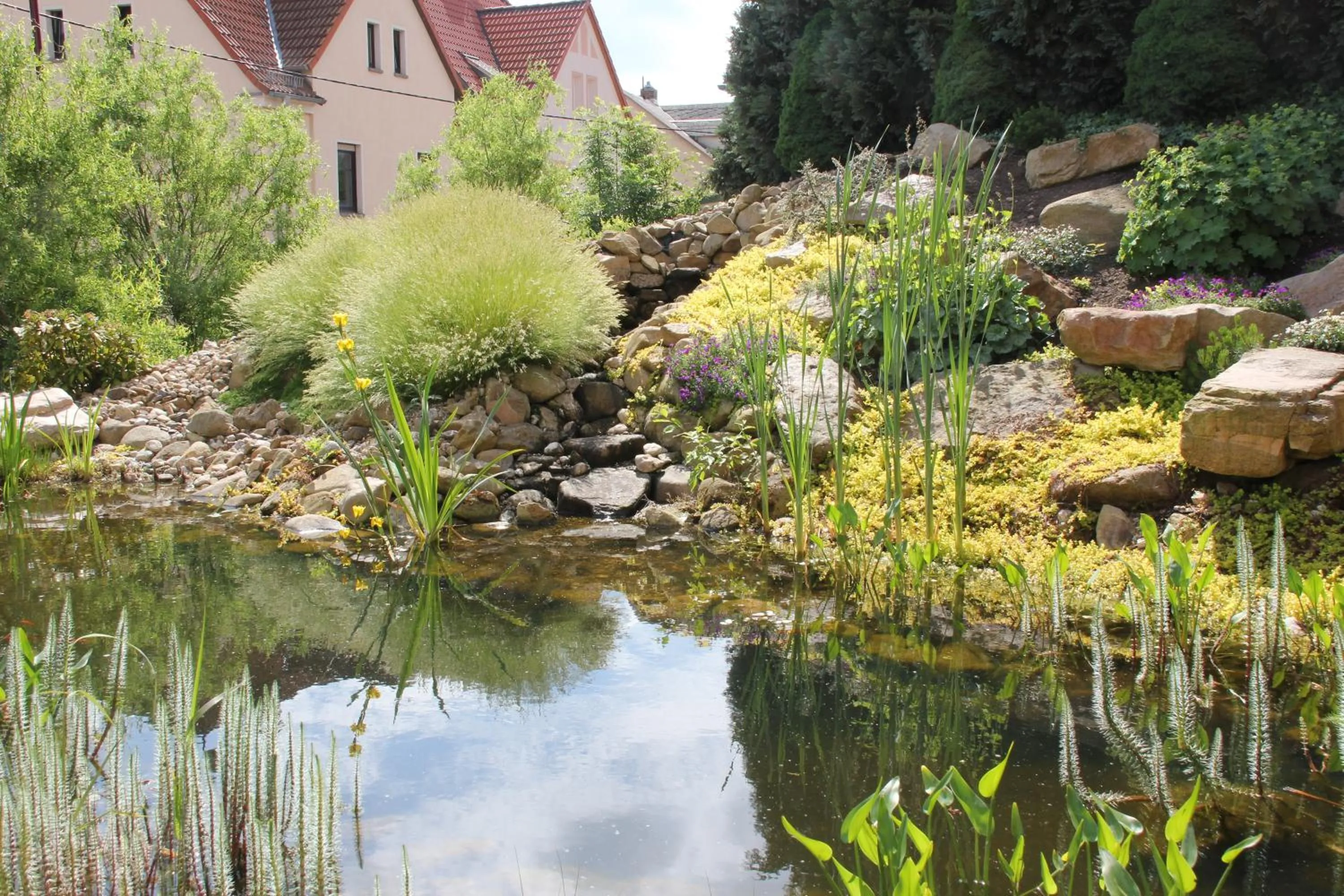 View (from property/room) in Hotel Schloßblick Trebsen