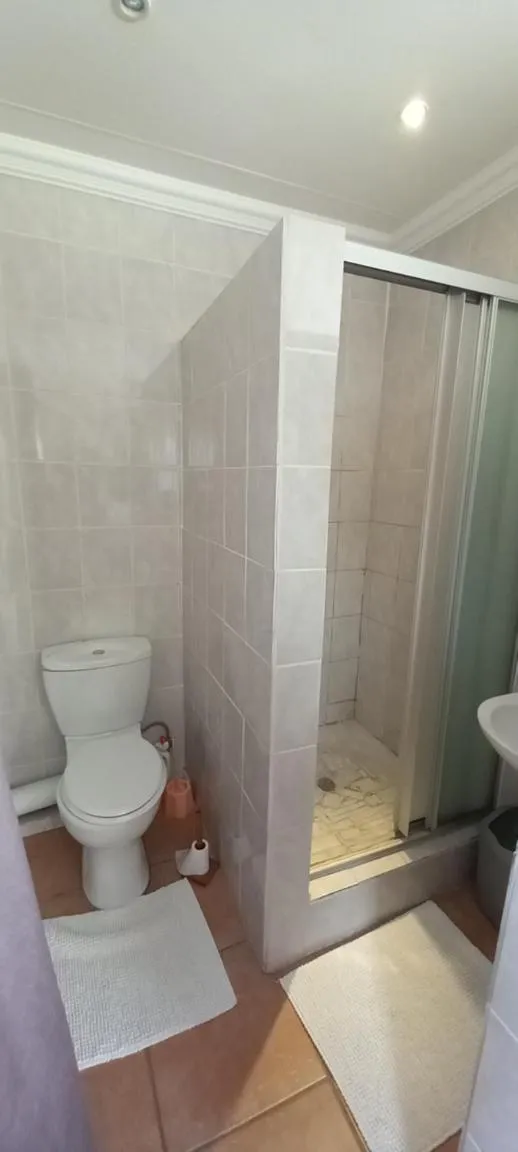 Shower in At The View B&B